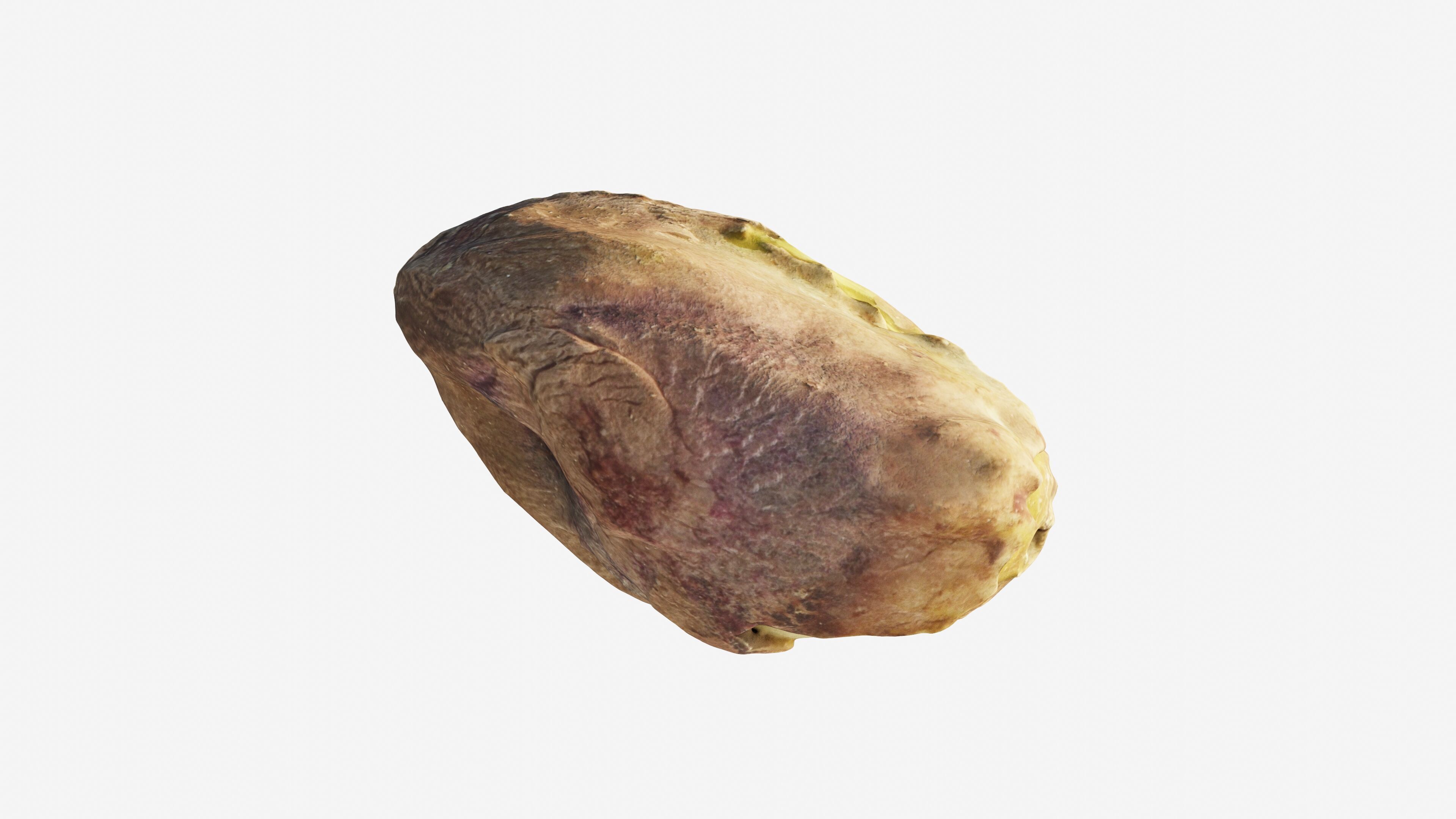 Scanned pistachio nut Low-poly 3D model_13