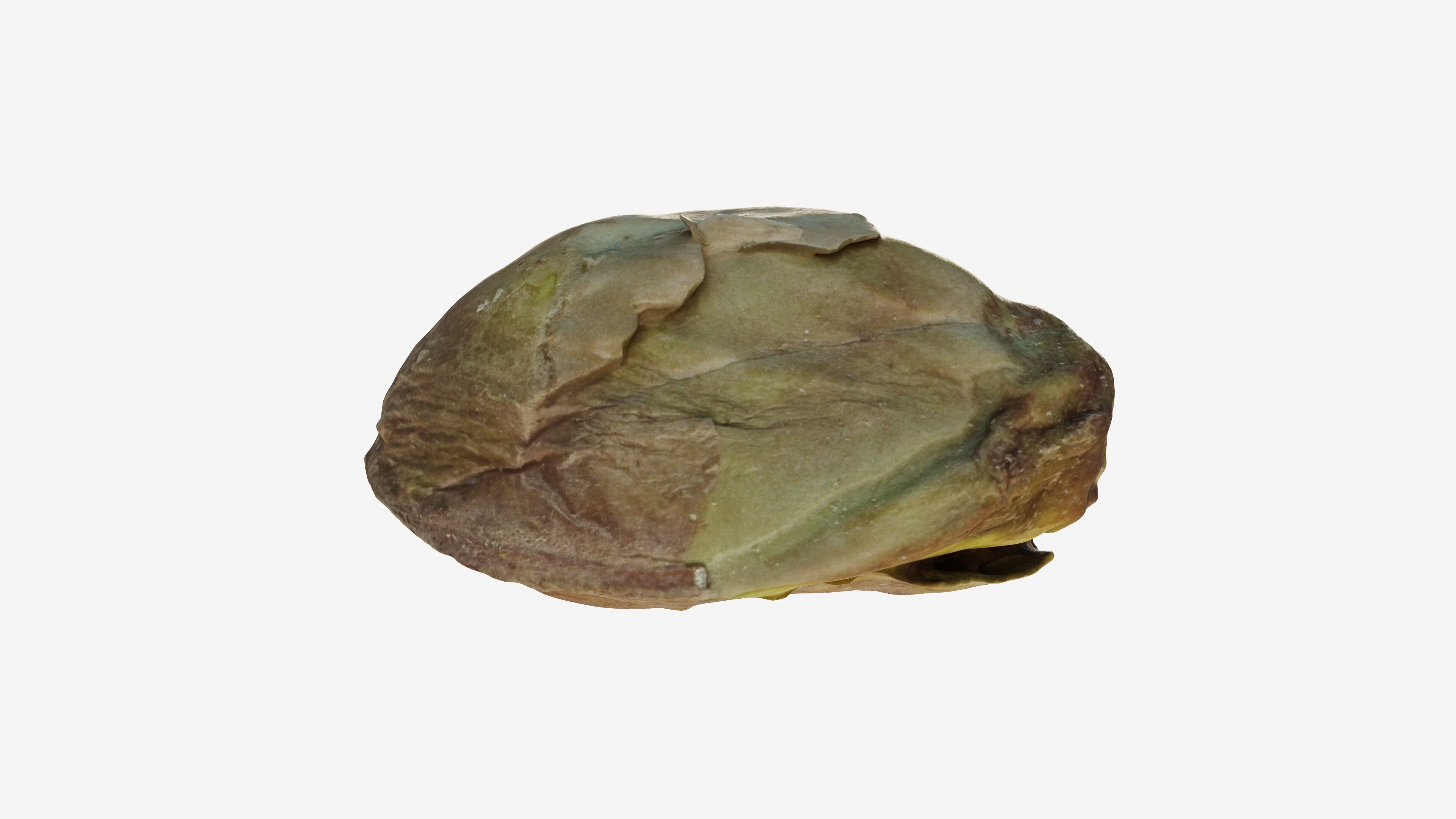 Scanned pistachio nut Low-poly 3D model_8