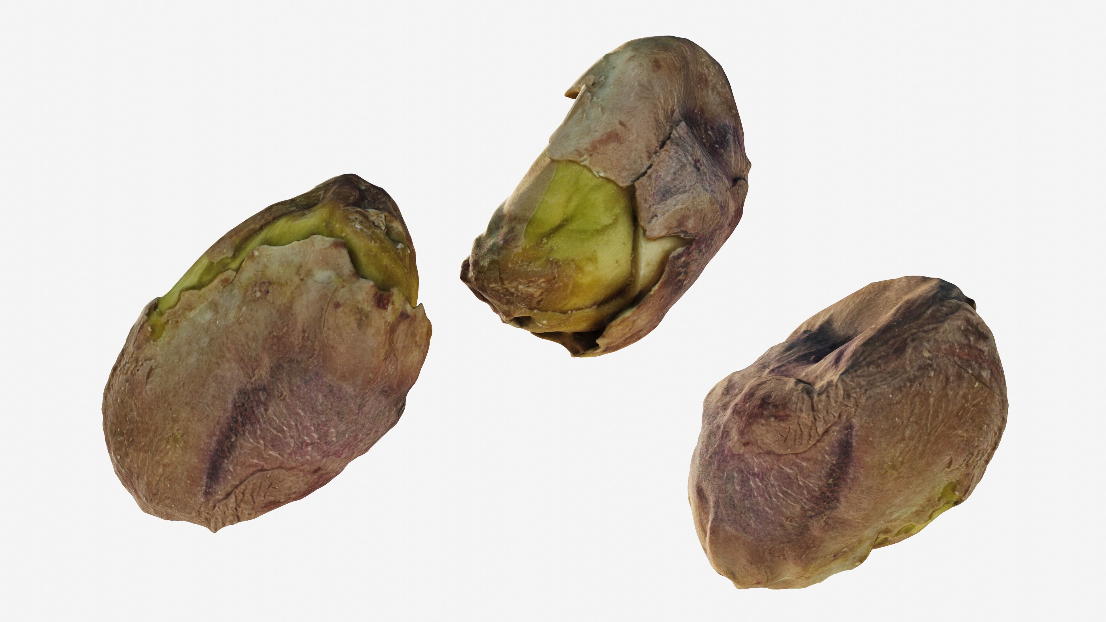 Scanned pistachio nut Low-poly 3D model_2