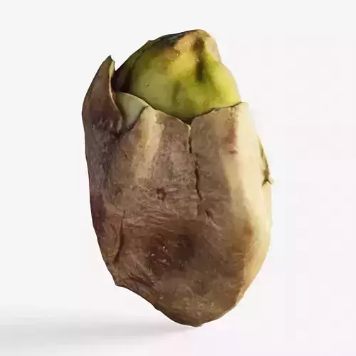 Scanned pistachio nut
