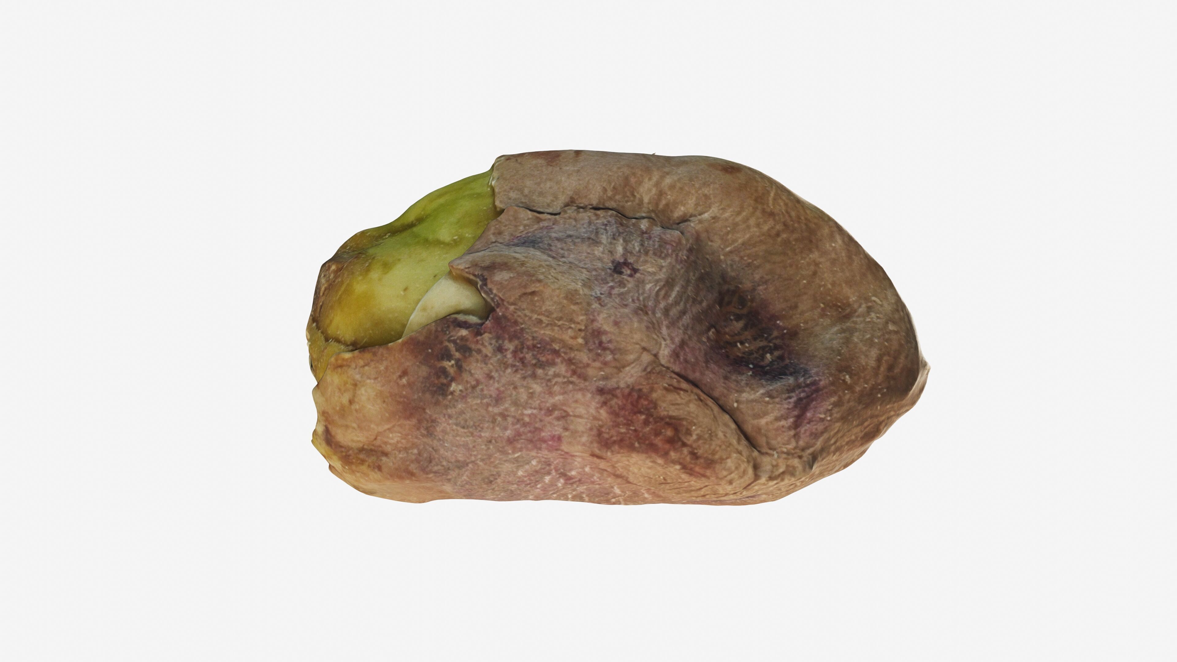 Scanned pistachio nut Low-poly 3D model_6