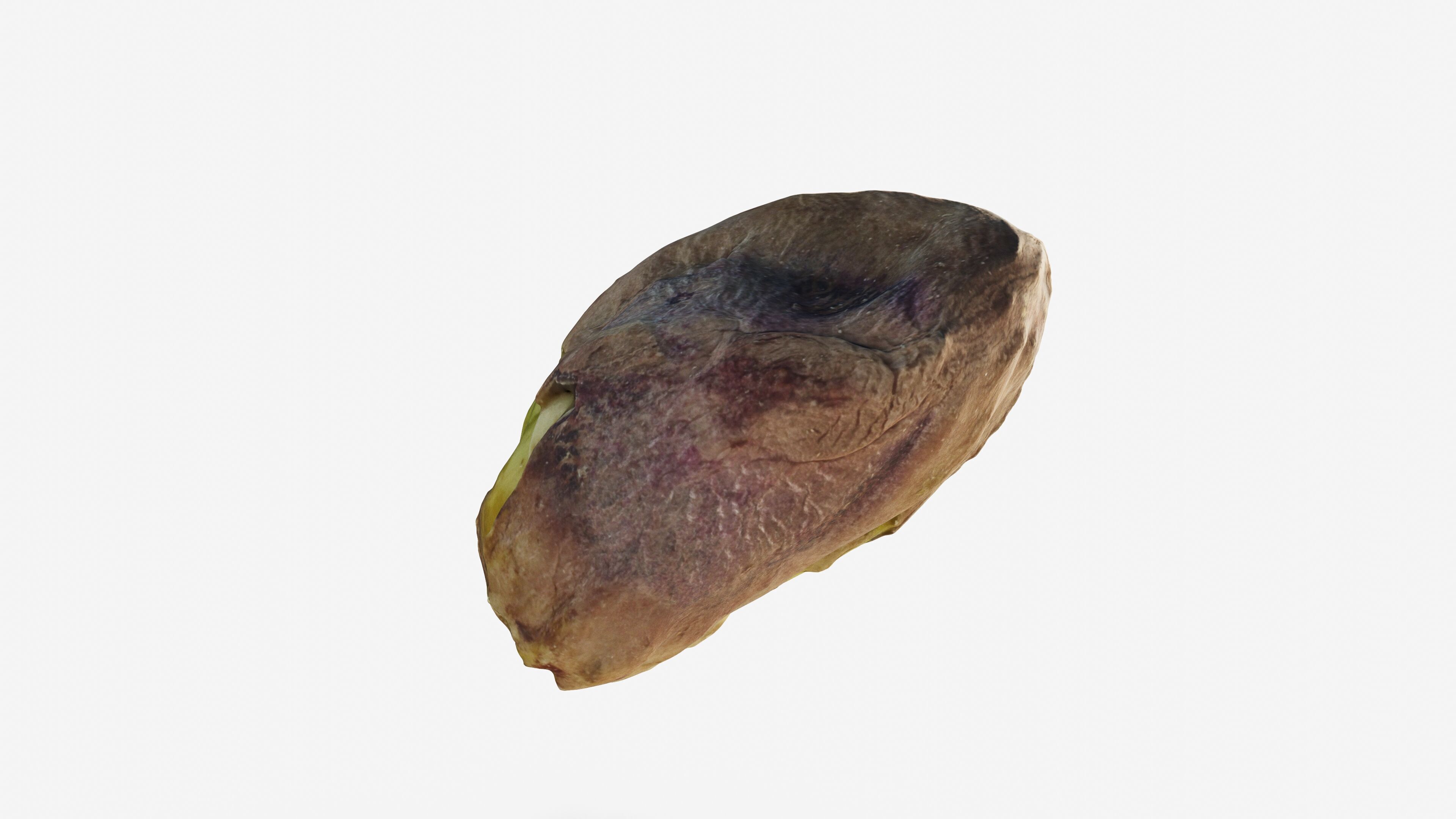 Scanned pistachio nut Low-poly 3D model_7