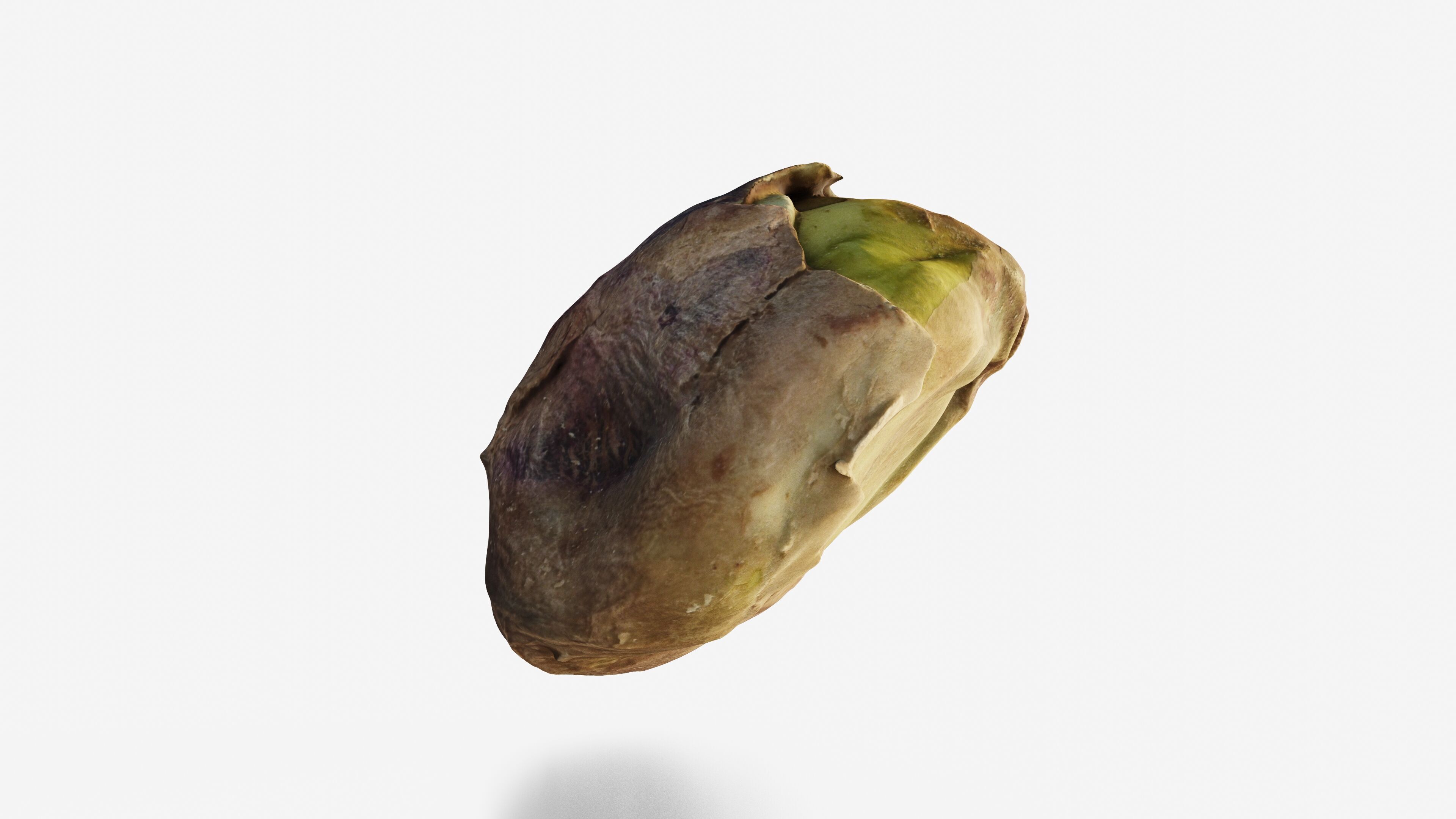 Scanned pistachio nut Low-poly 3D model_12