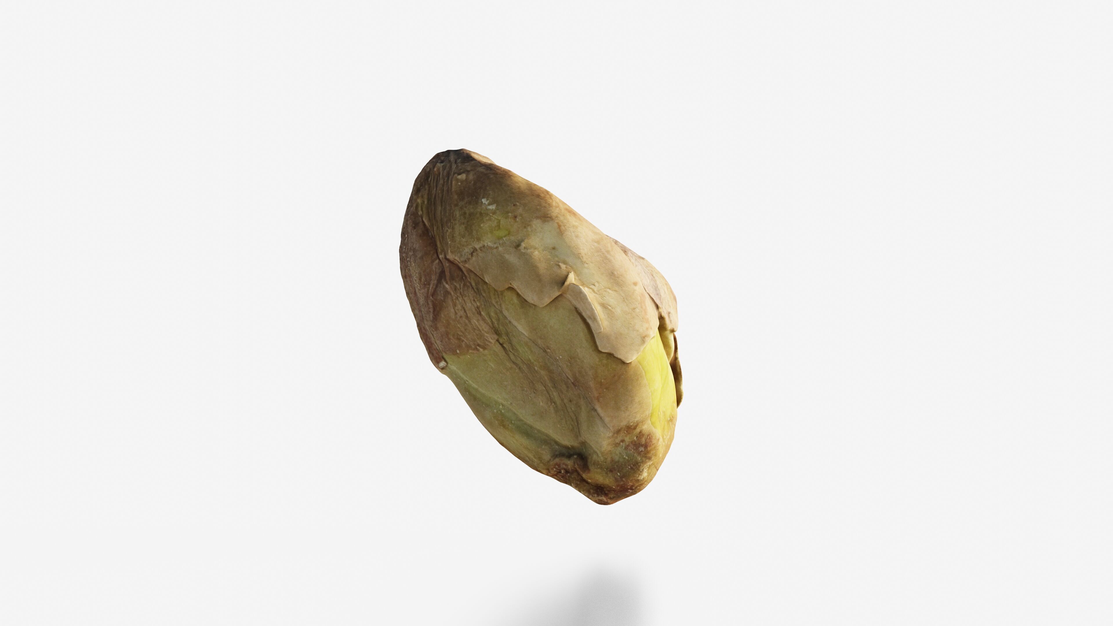 Scanned pistachio nut Low-poly 3D model_10
