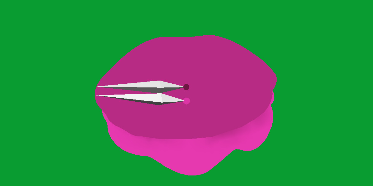 Giant Clam Mollusk Low-poly 3D model_29