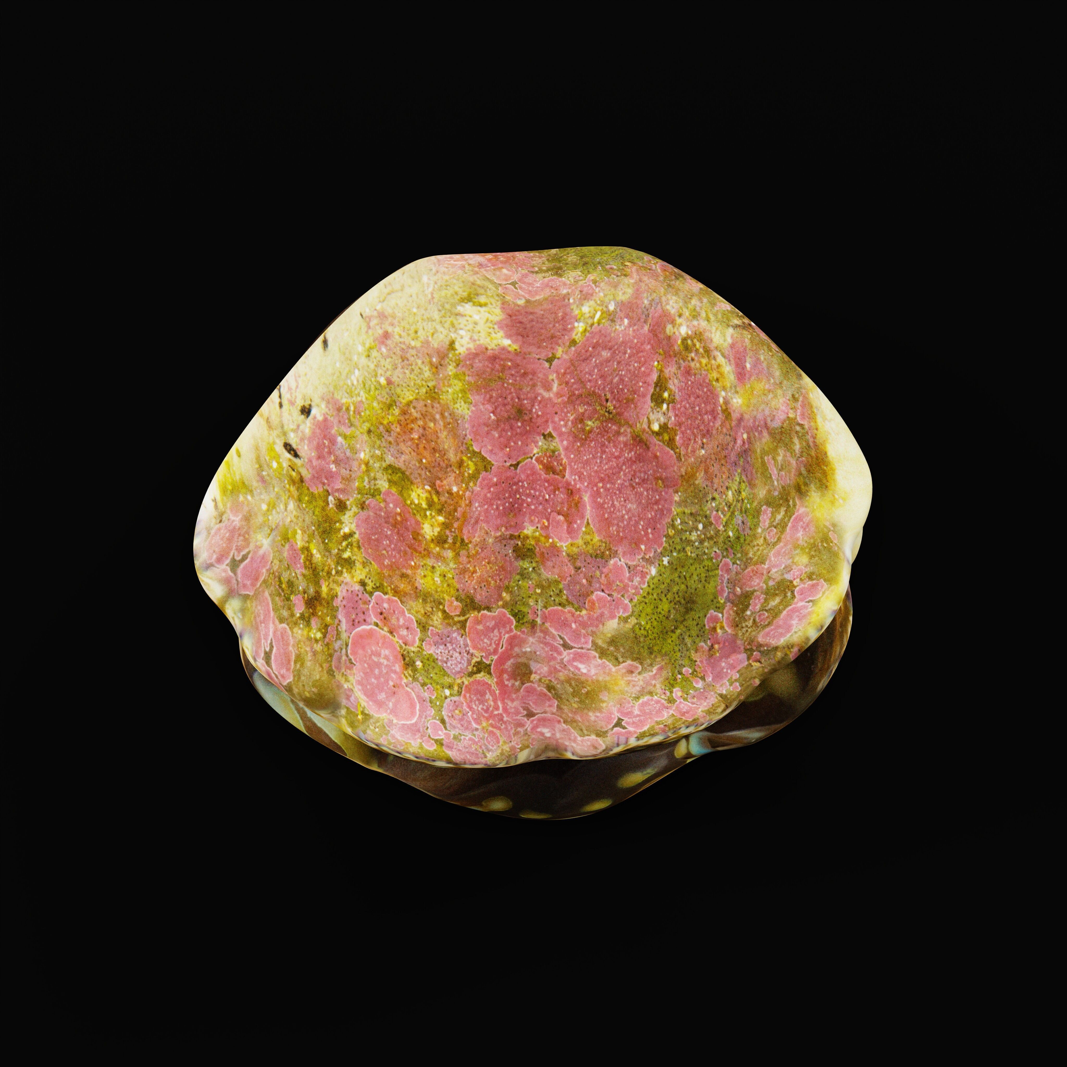 Giant Clam Mollusk Low-poly 3D model_38