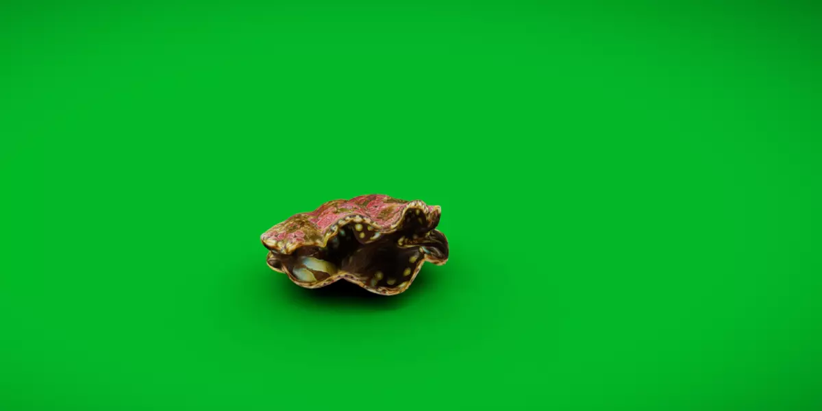 Giant Clam Mollusk Low-poly 3D model_0