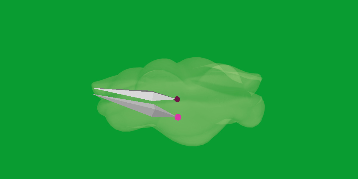 Giant Clam Mollusk Low-poly 3D model_28