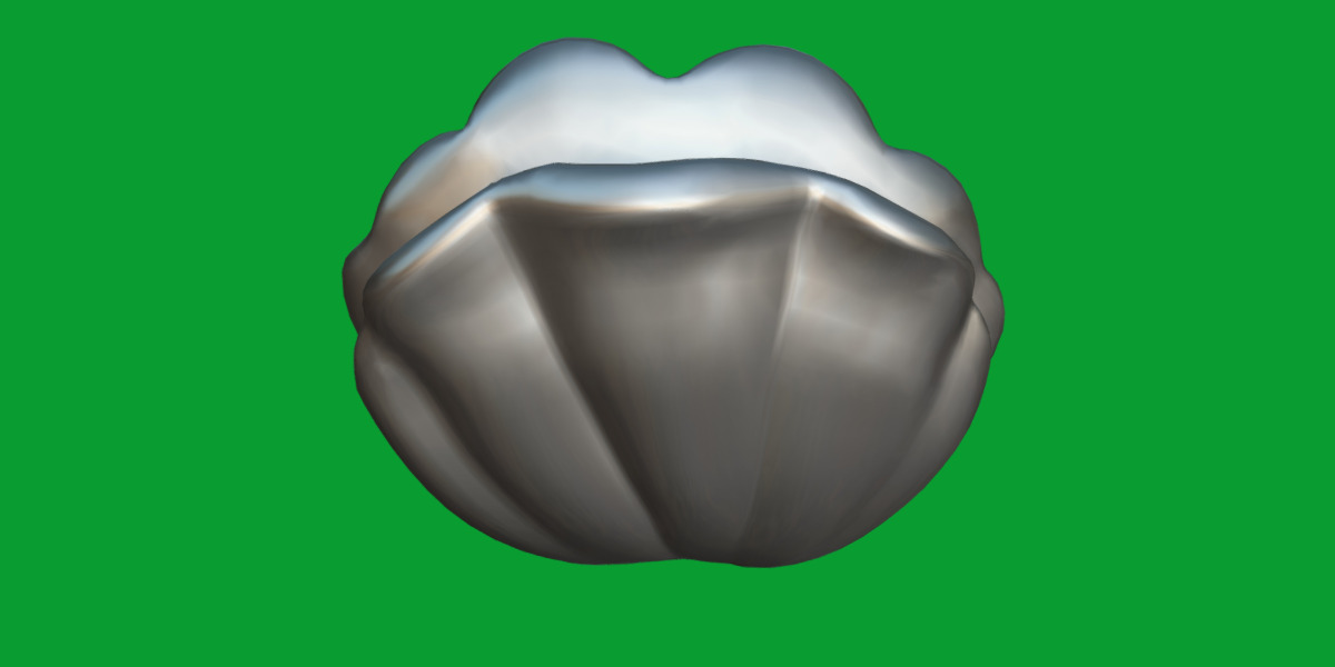 Giant Clam Mollusk Low-poly 3D model_10