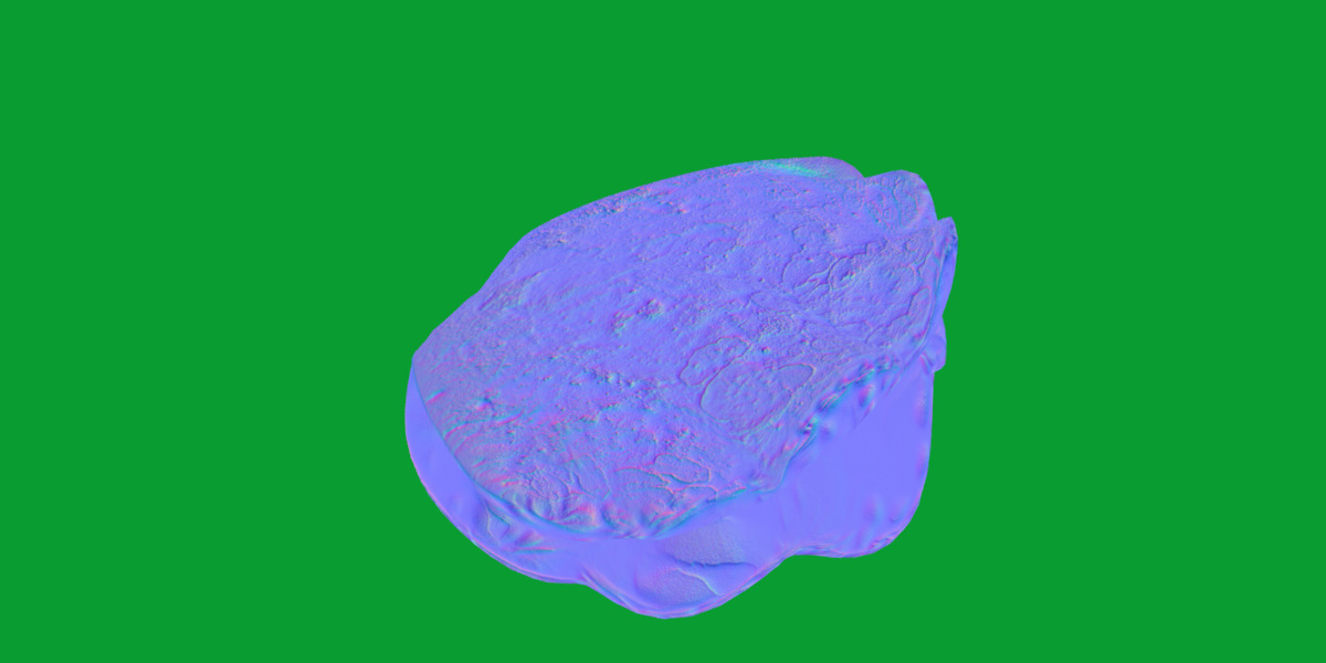 Giant Clam Mollusk Low-poly 3D model_6