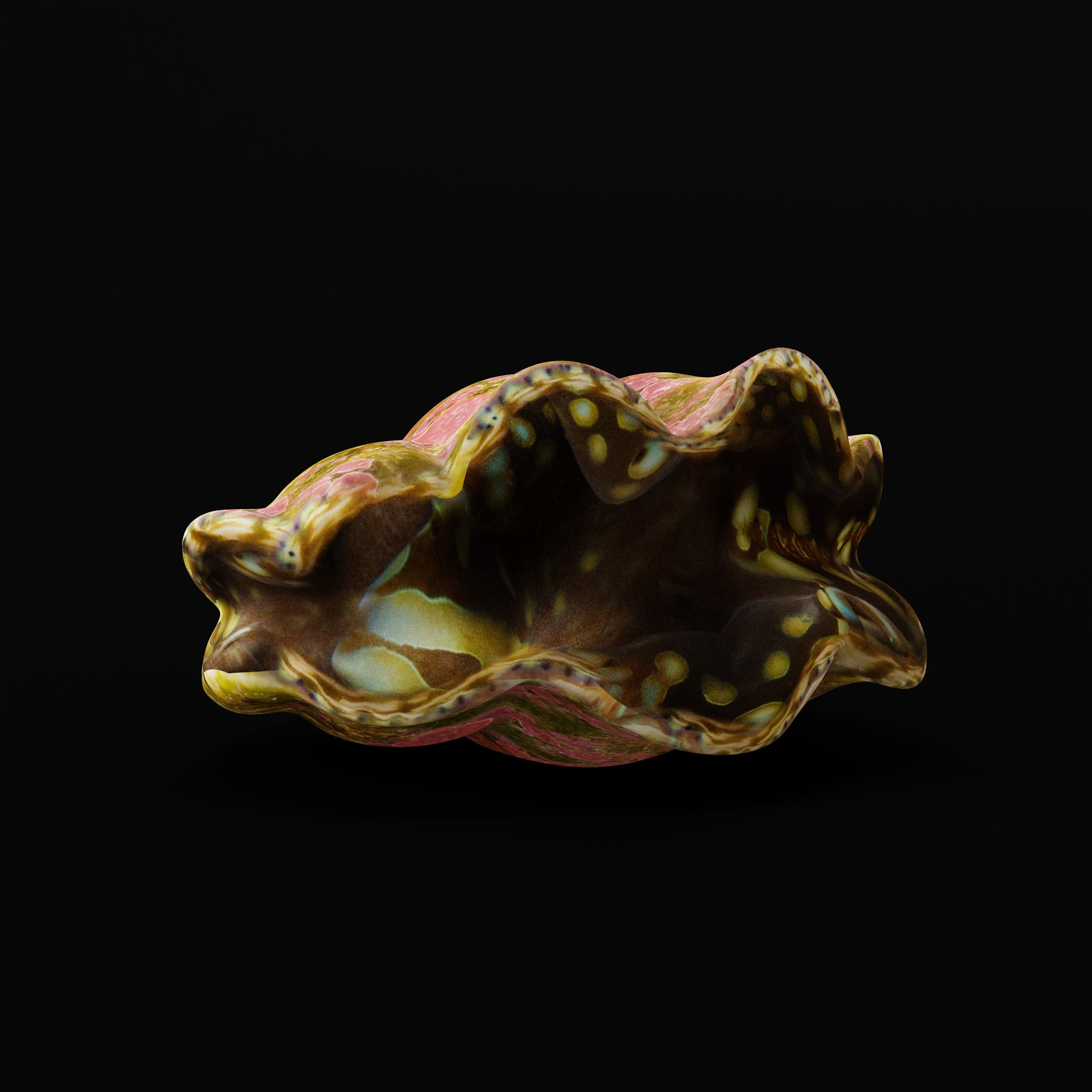 Giant Clam Mollusk Low-poly 3D model_36