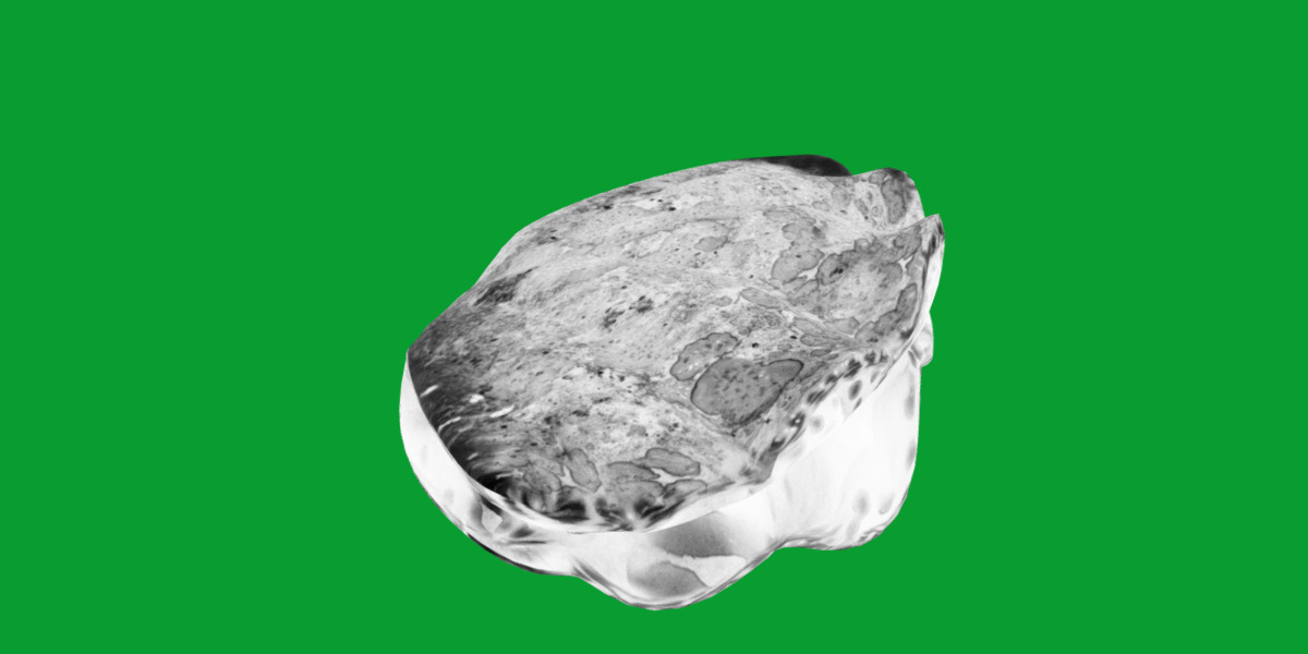 Giant Clam Mollusk Low-poly 3D model_7