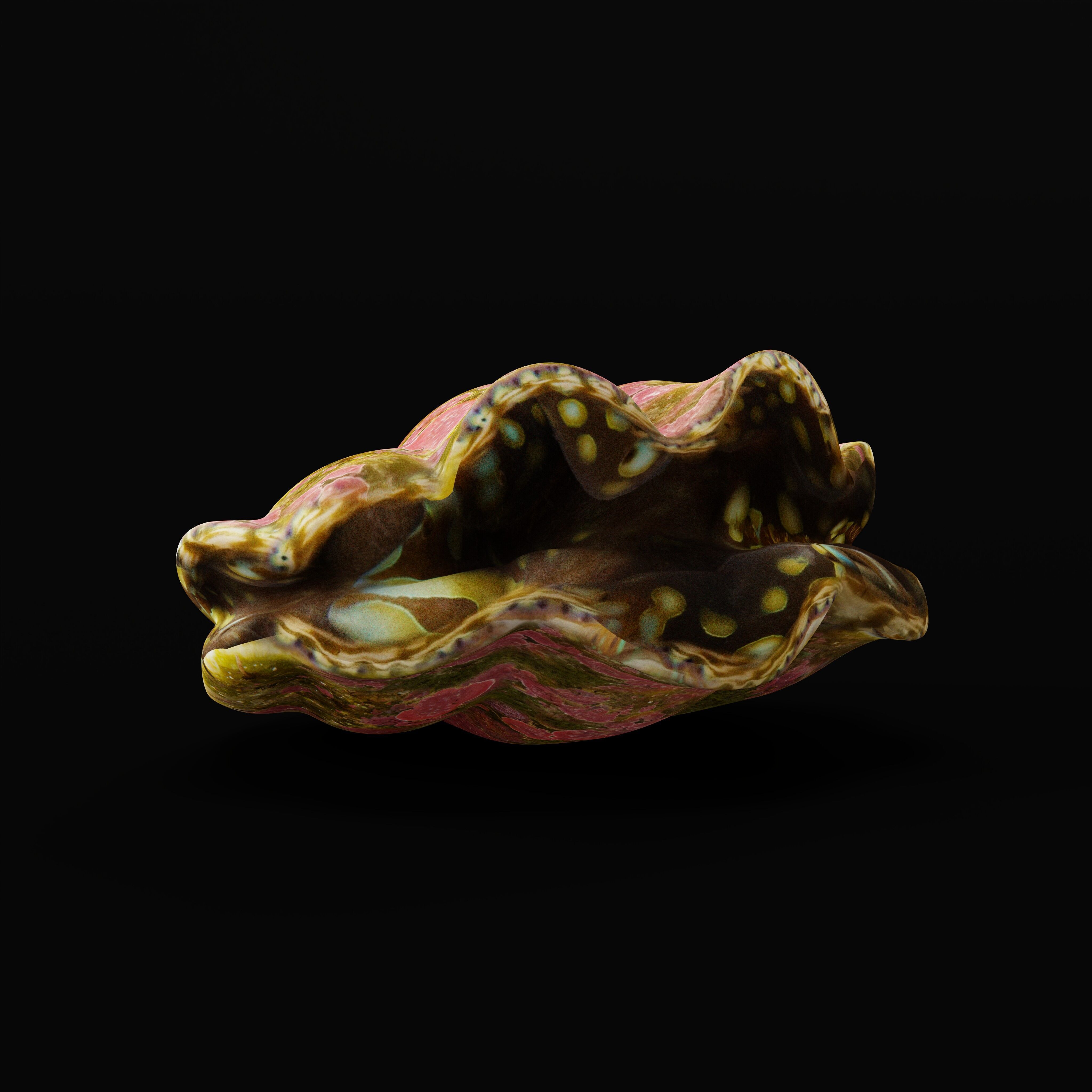 Giant Clam Mollusk Low-poly 3D model_35