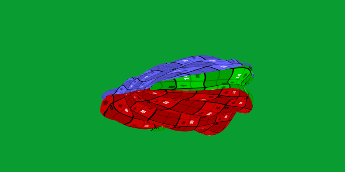 Giant Clam Mollusk Low-poly 3D model_20