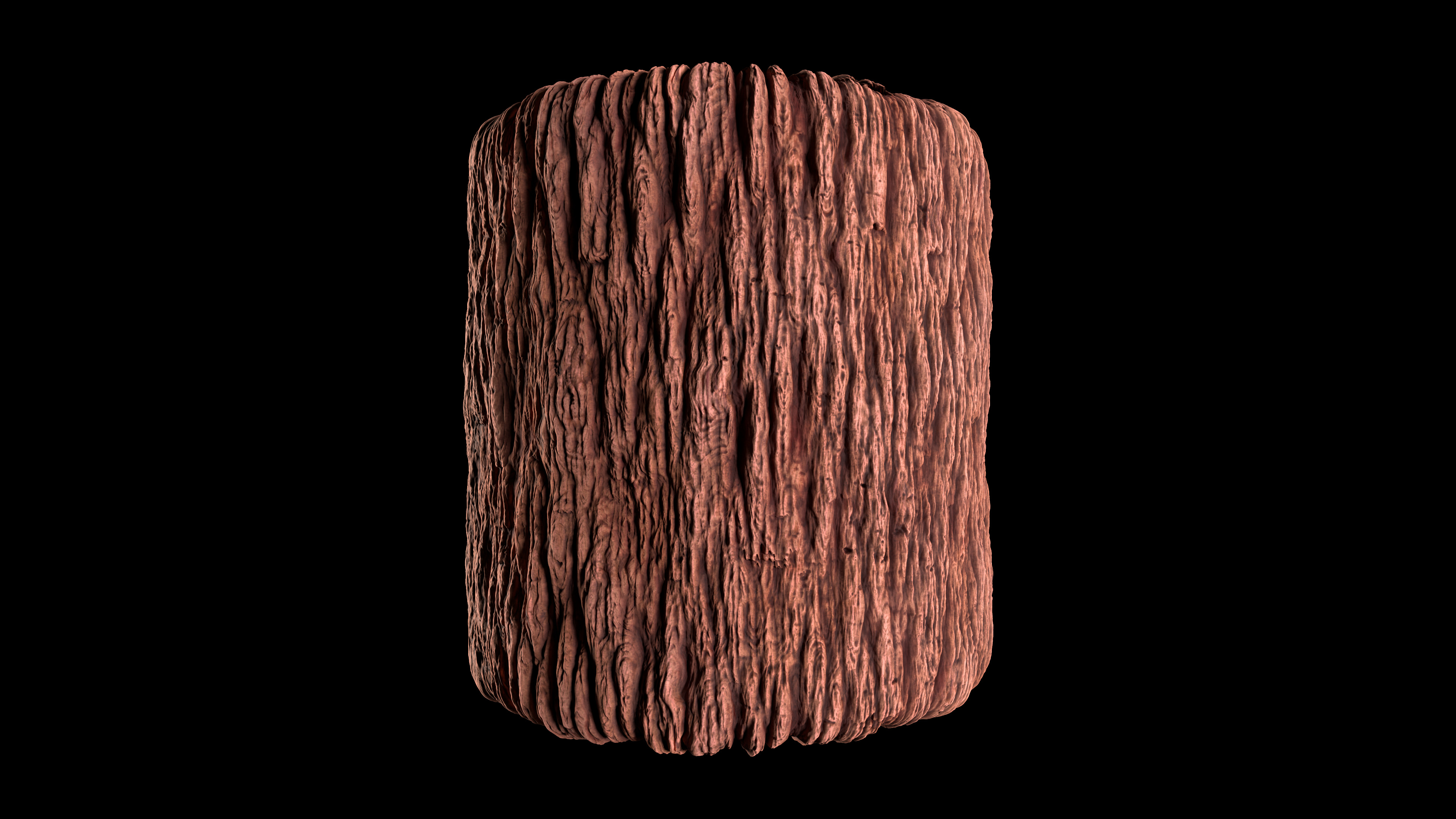 TREE BARK Texture_2