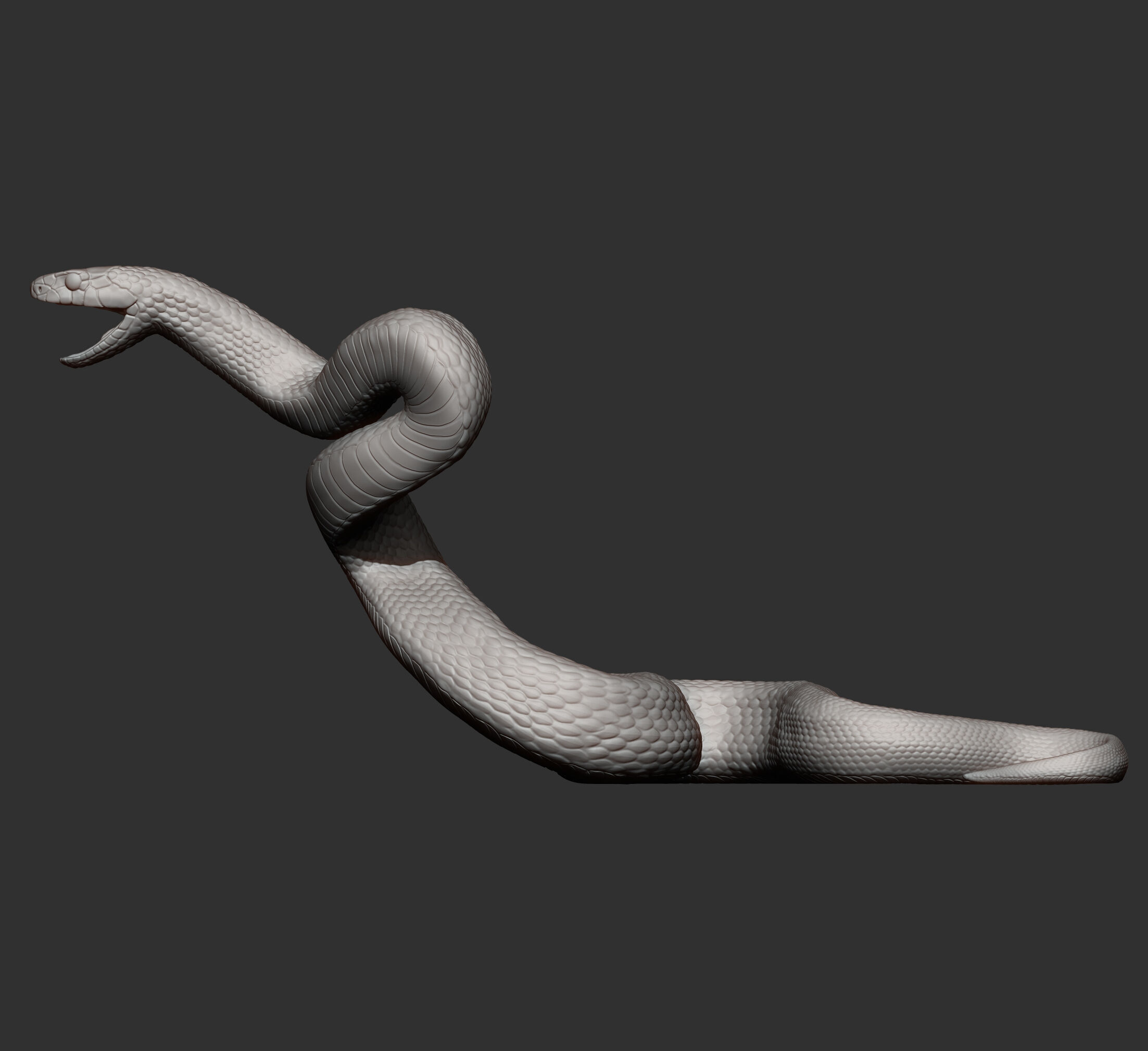 Eastern brown snake 3D print model_14