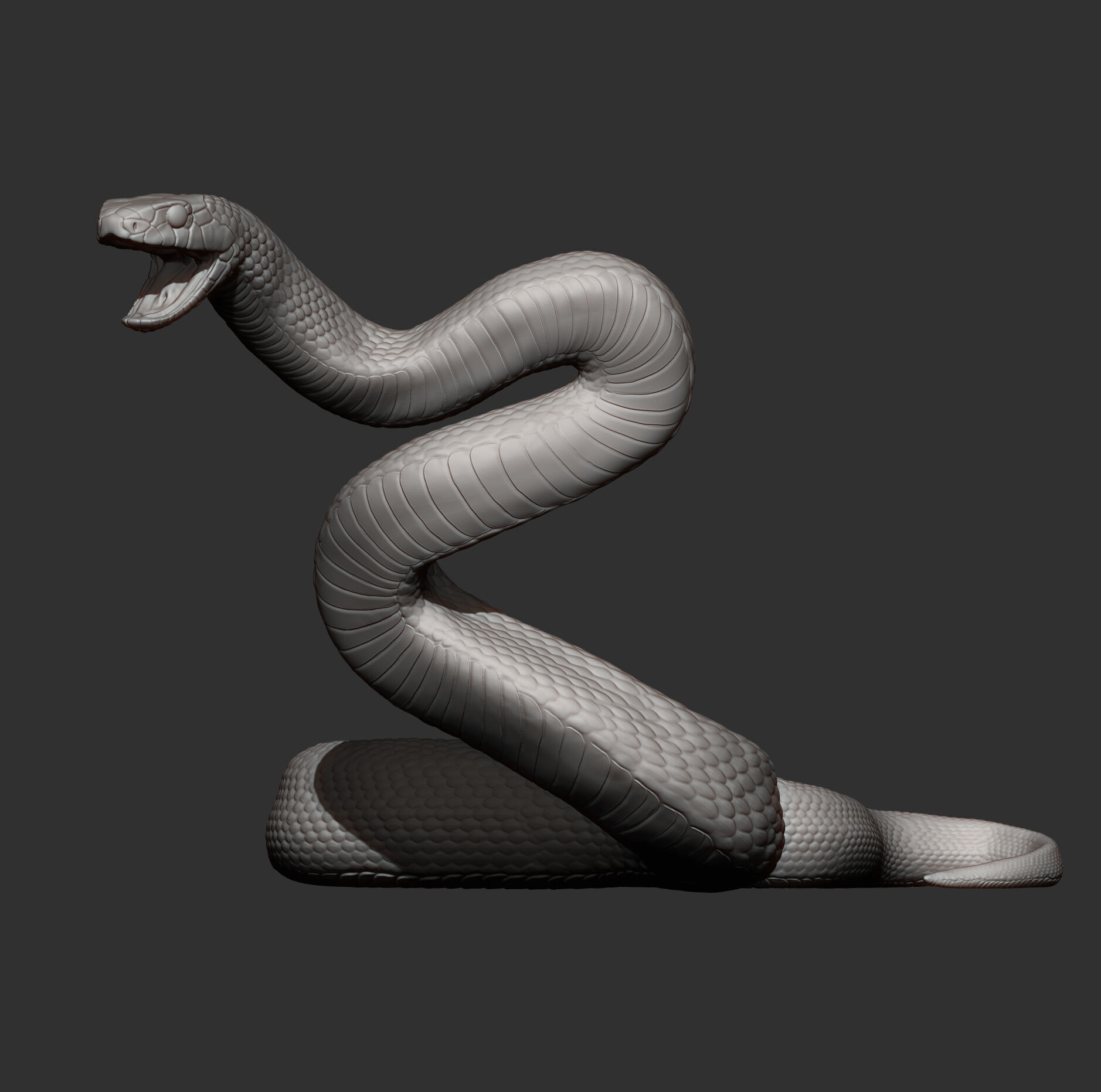 Eastern brown snake 3D print model_9