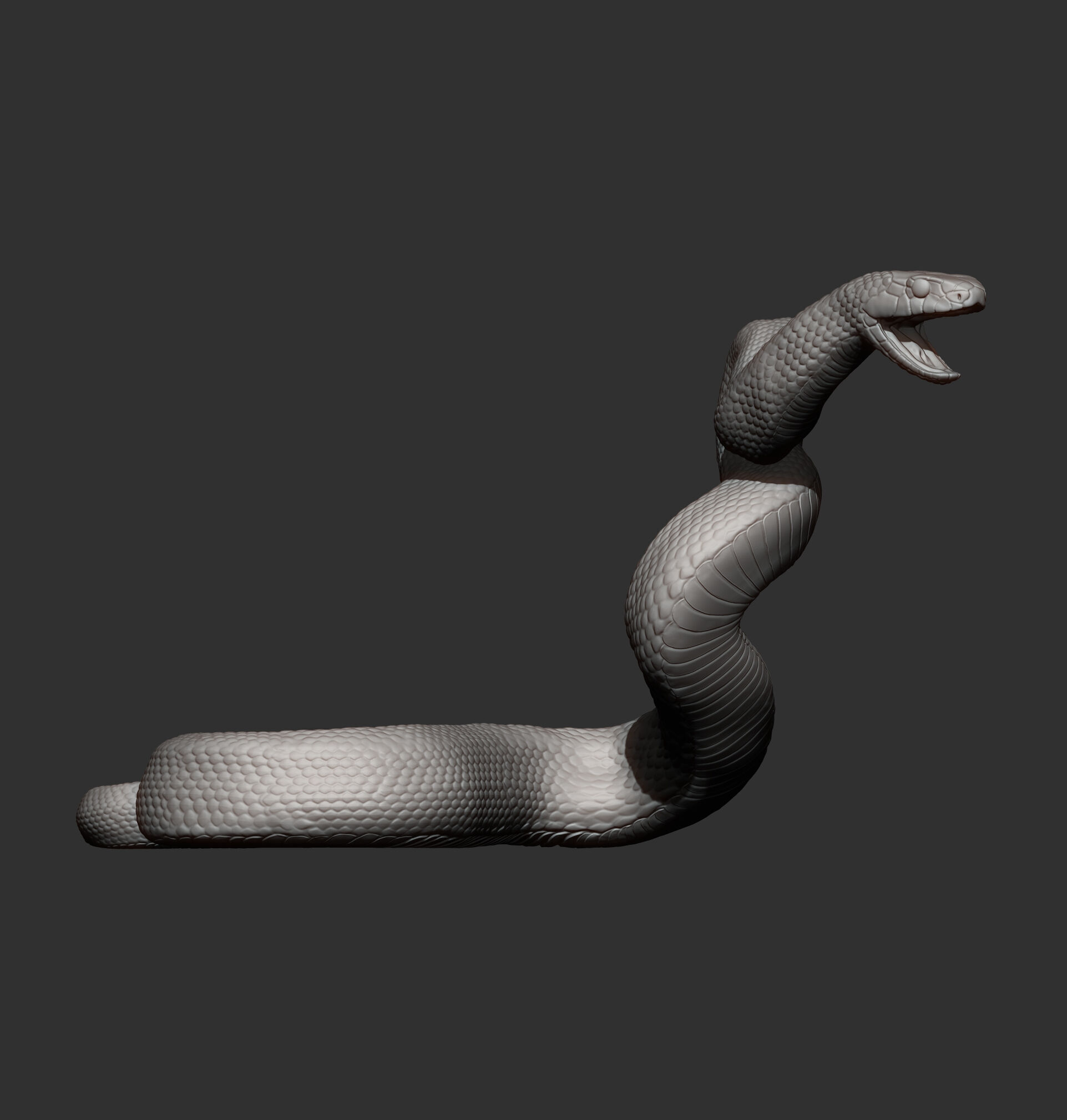 Eastern brown snake 3D print model_8