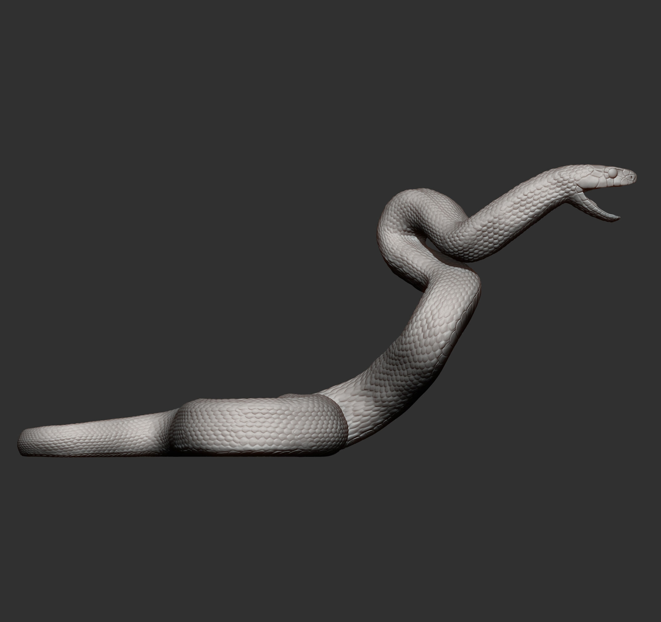 Eastern brown snake 3D print model_11