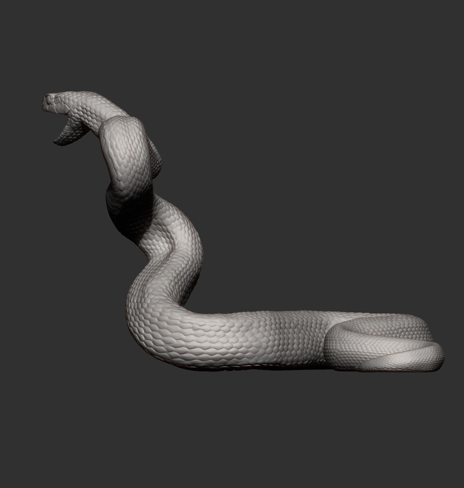 Eastern brown snake 3D print model_10