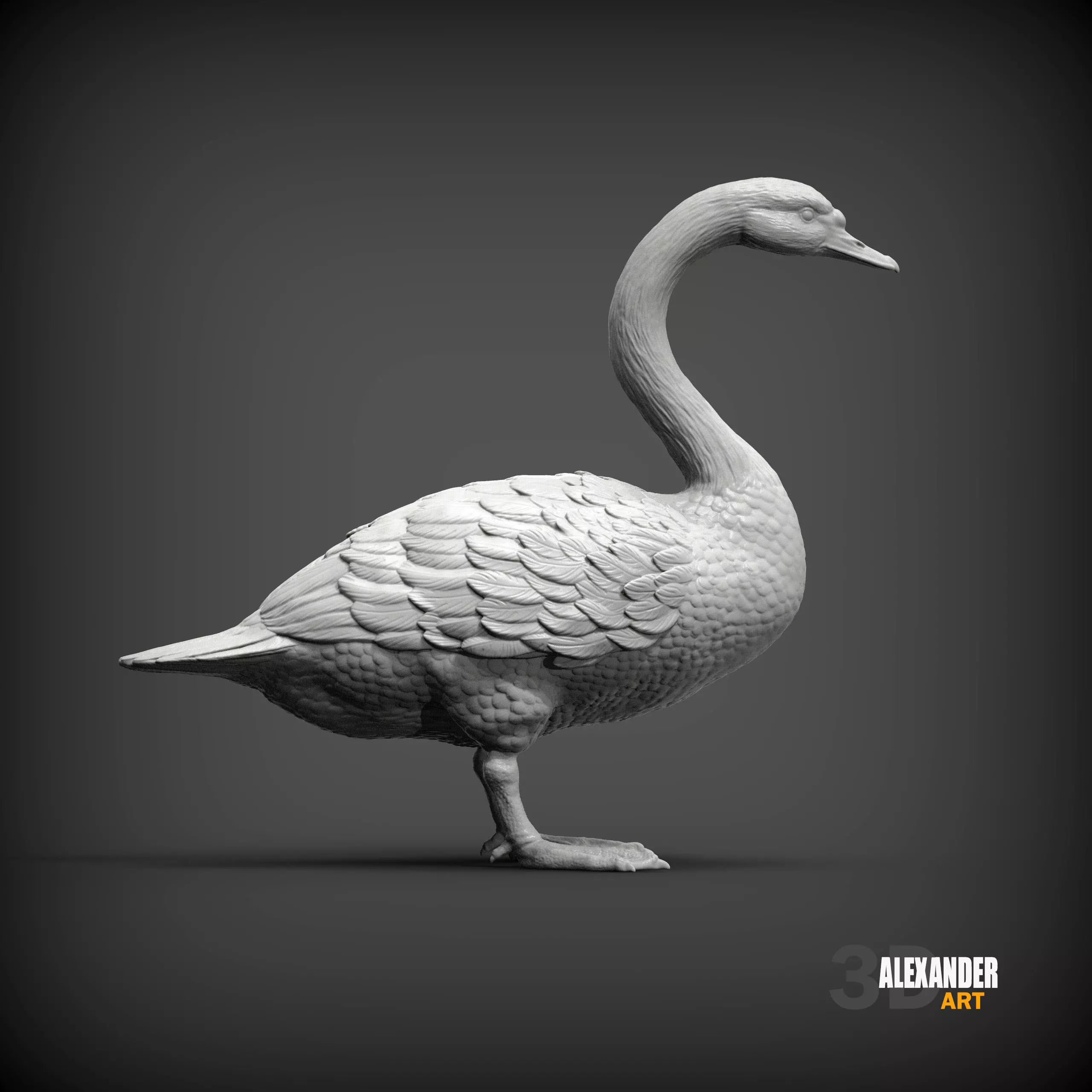 Mute swan 3D print model