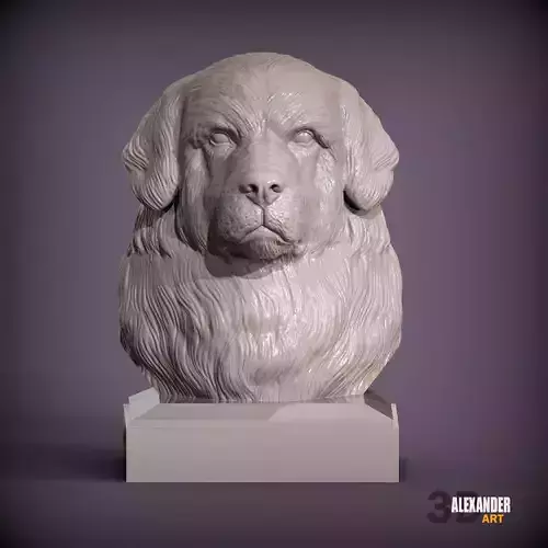 Newfoundlands bust
