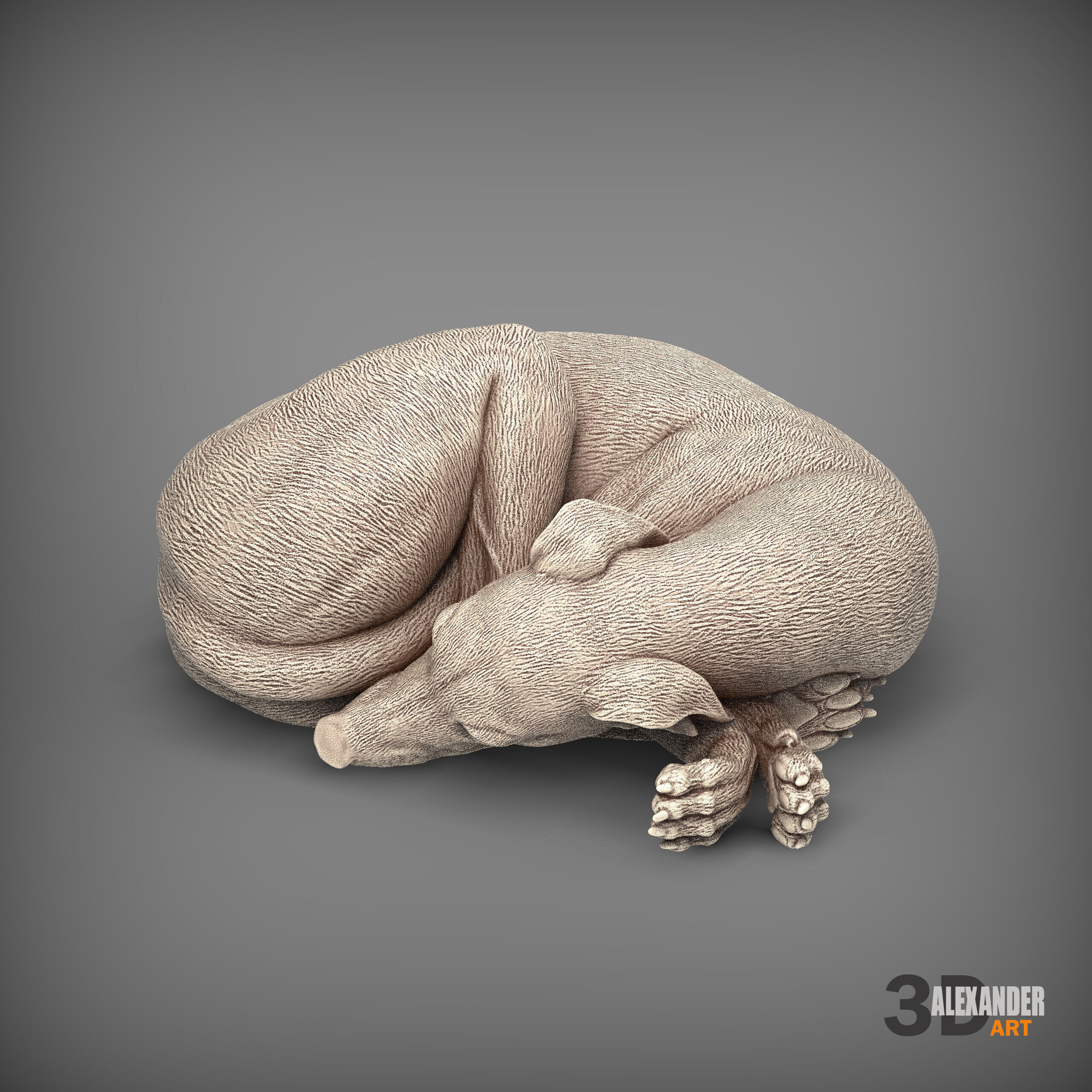 Whippet curled up asleep 3D print model_3