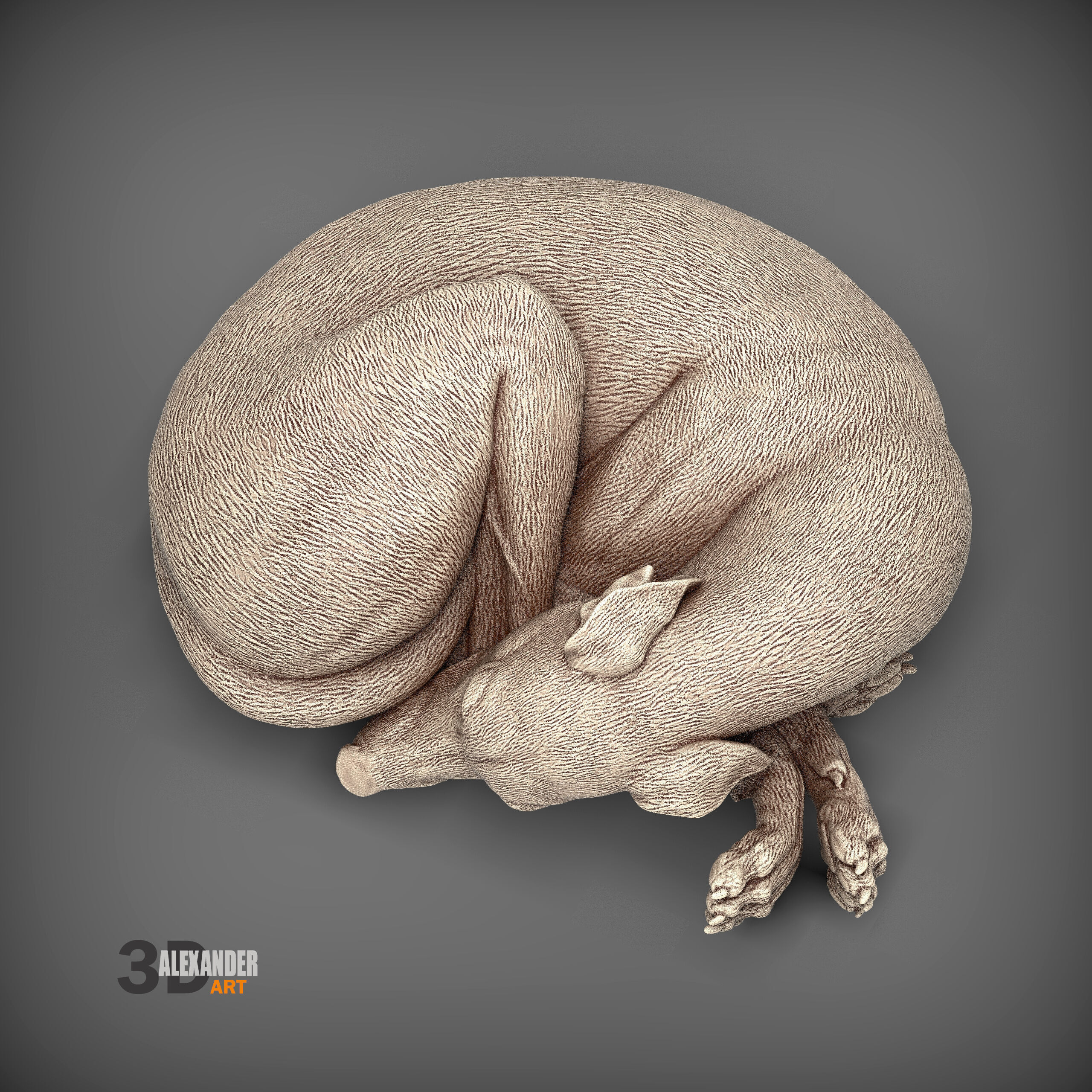 Whippet curled up asleep 3D print model_5