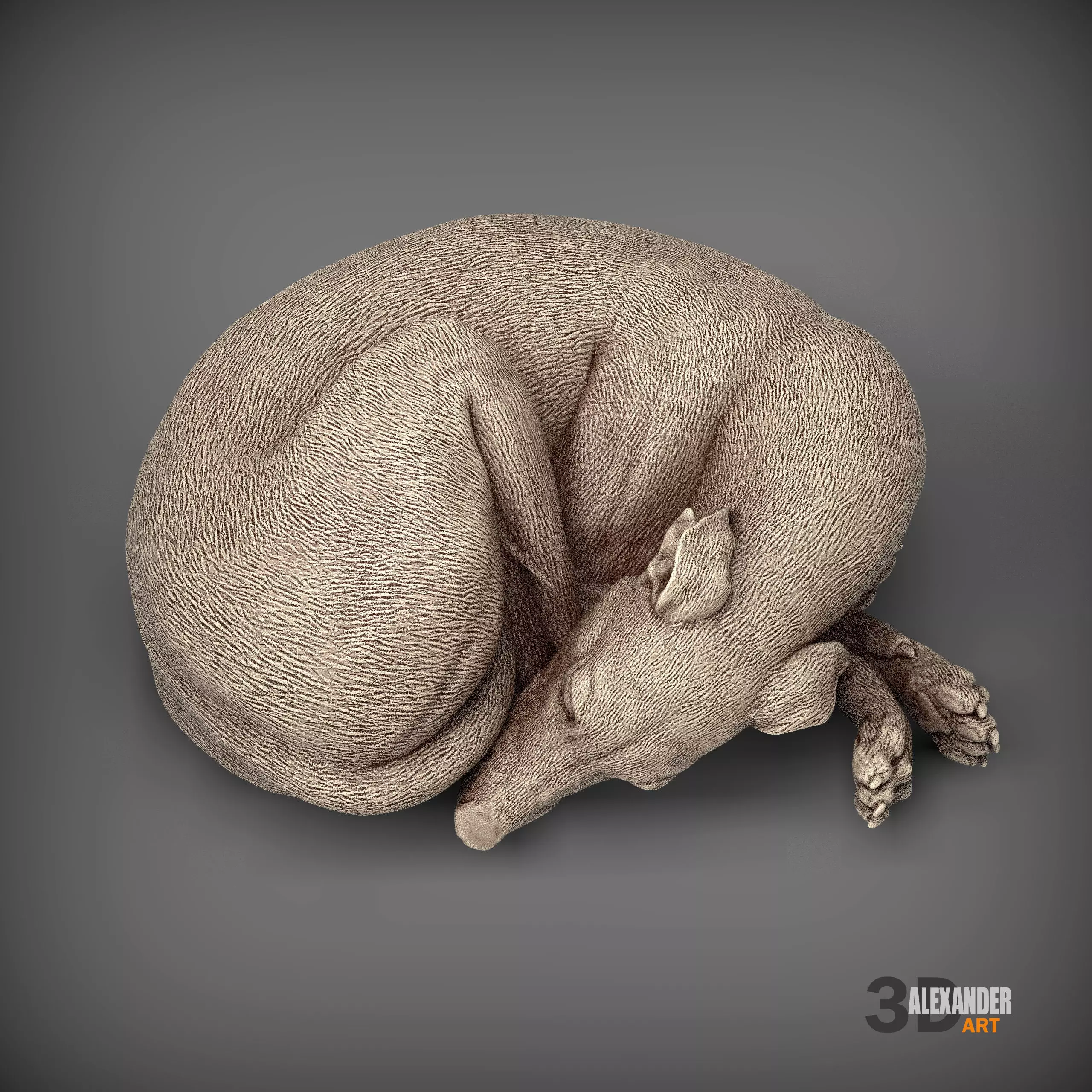 Whippet curled up asleep 3D print model_0