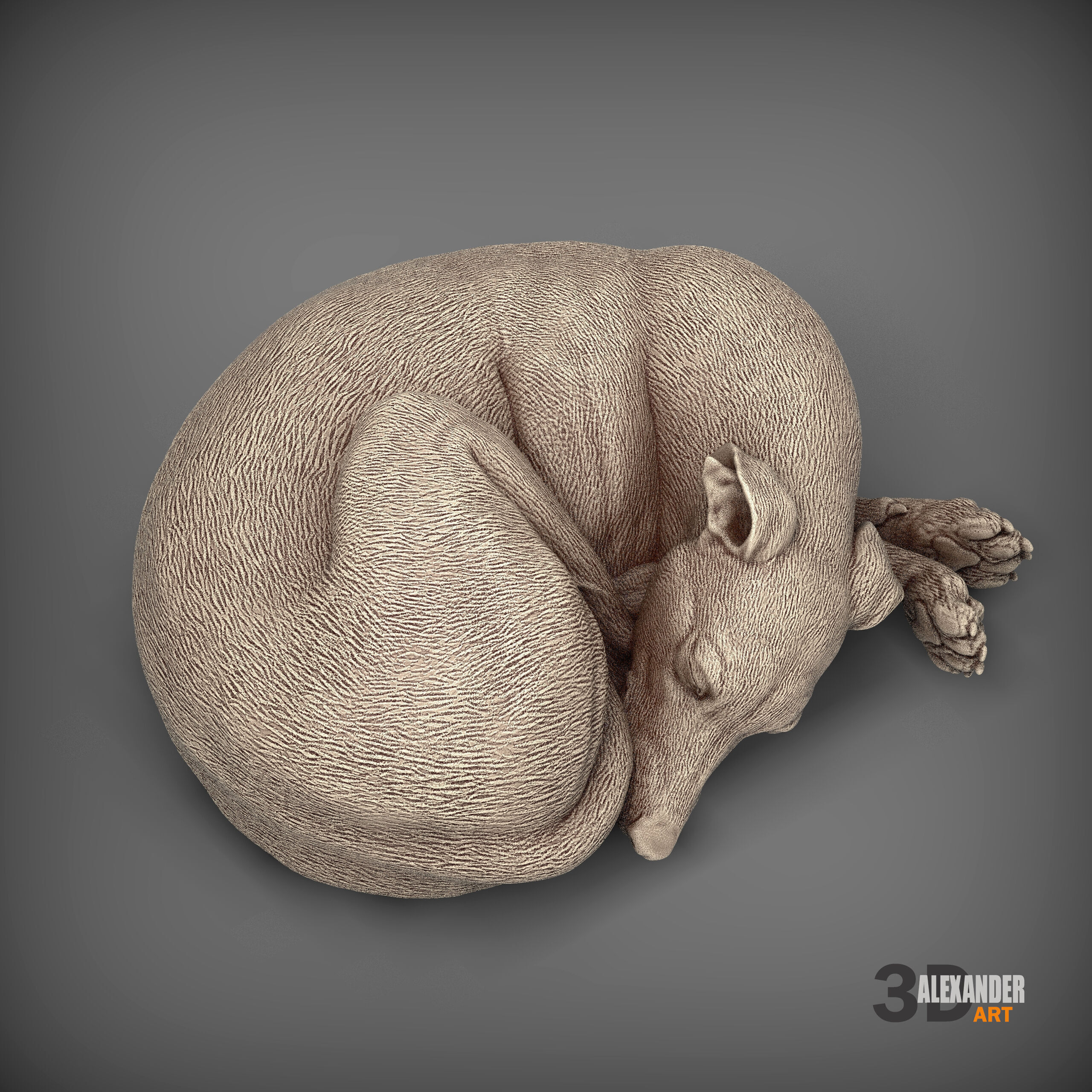 Whippet curled up asleep 3D print model_2