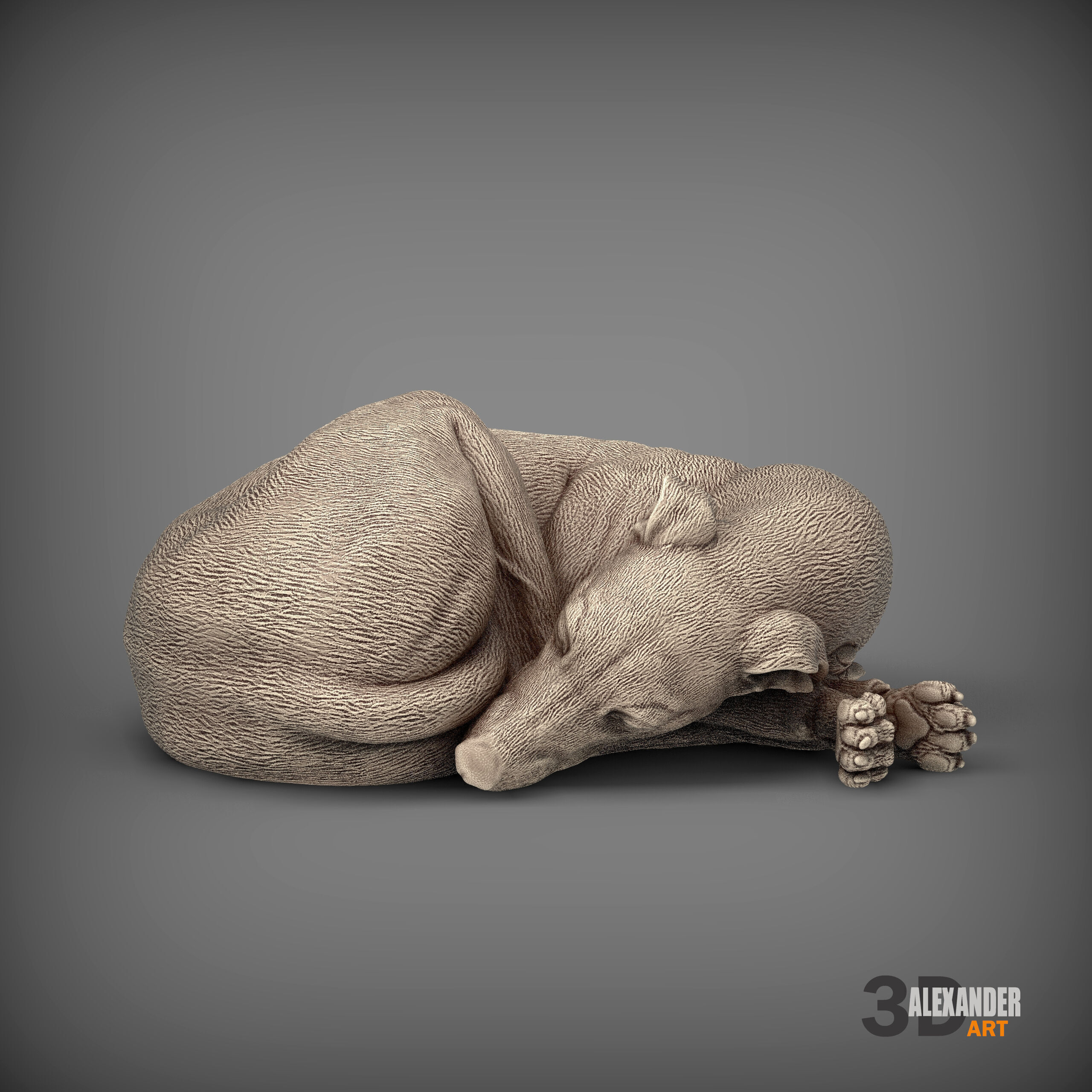 Whippet curled up asleep 3D print model_1