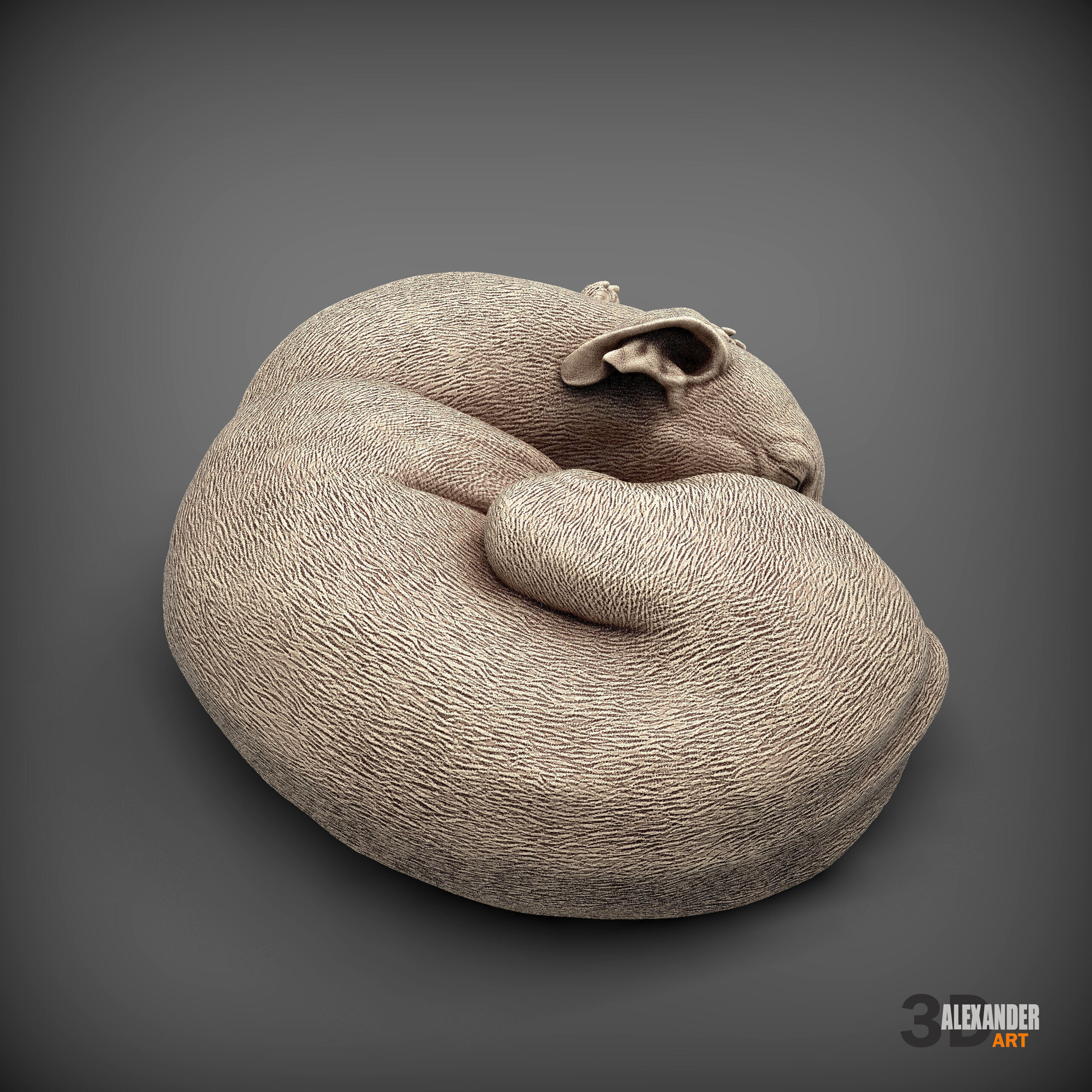 Whippet curled up asleep 3D print model_8