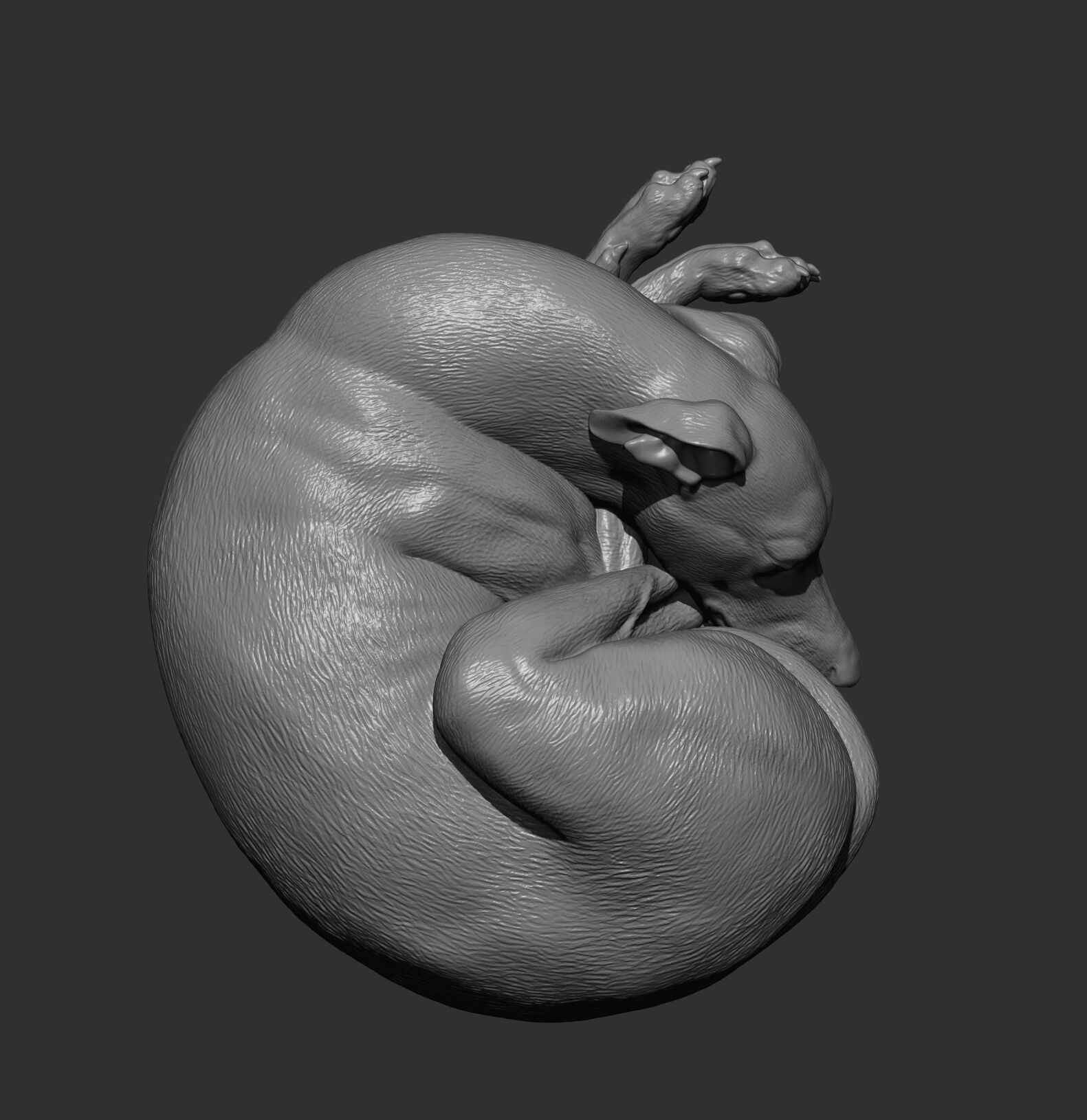 Whippet curled up asleep 3D print model_14