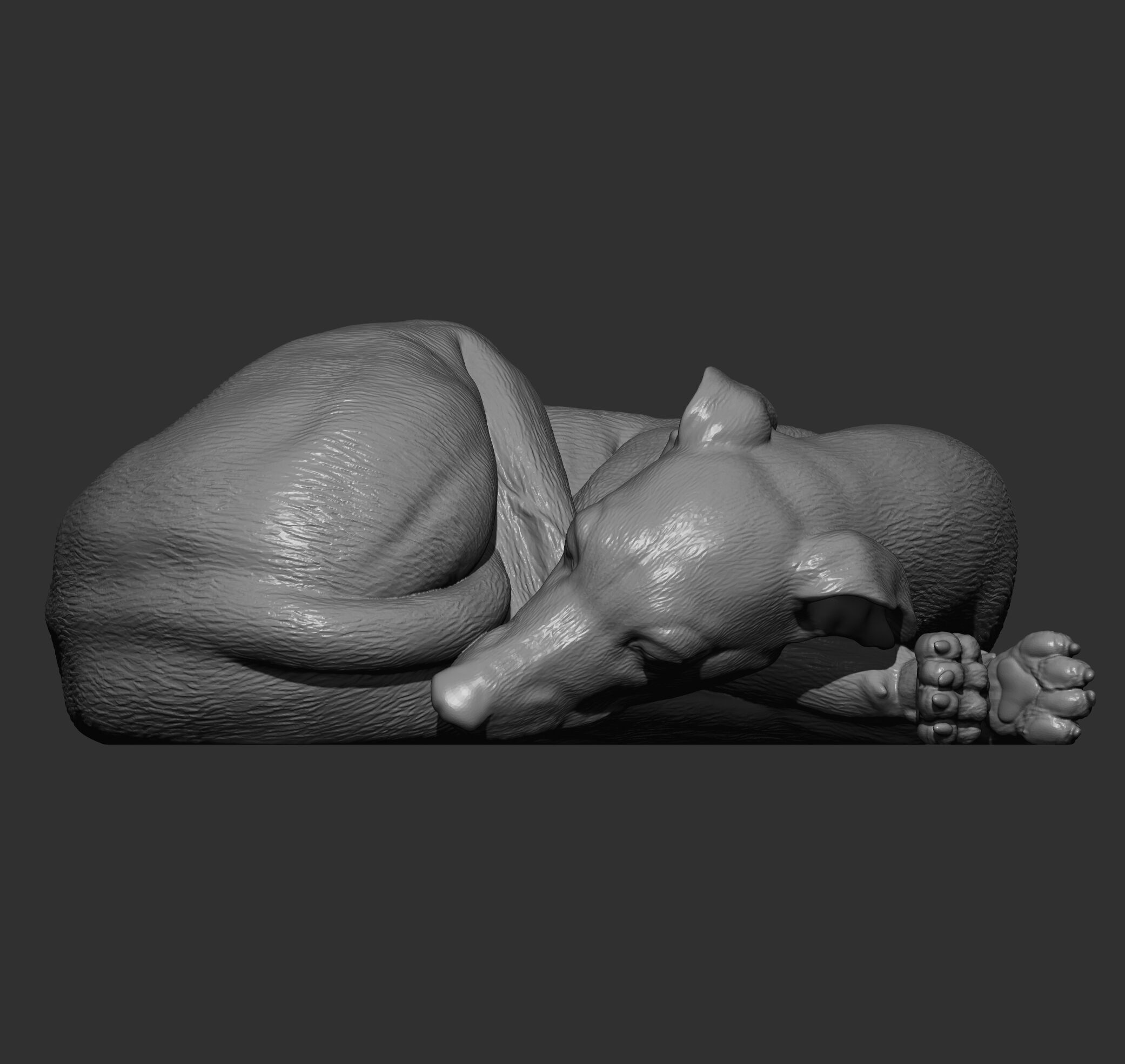 Whippet curled up asleep 3D print model_13
