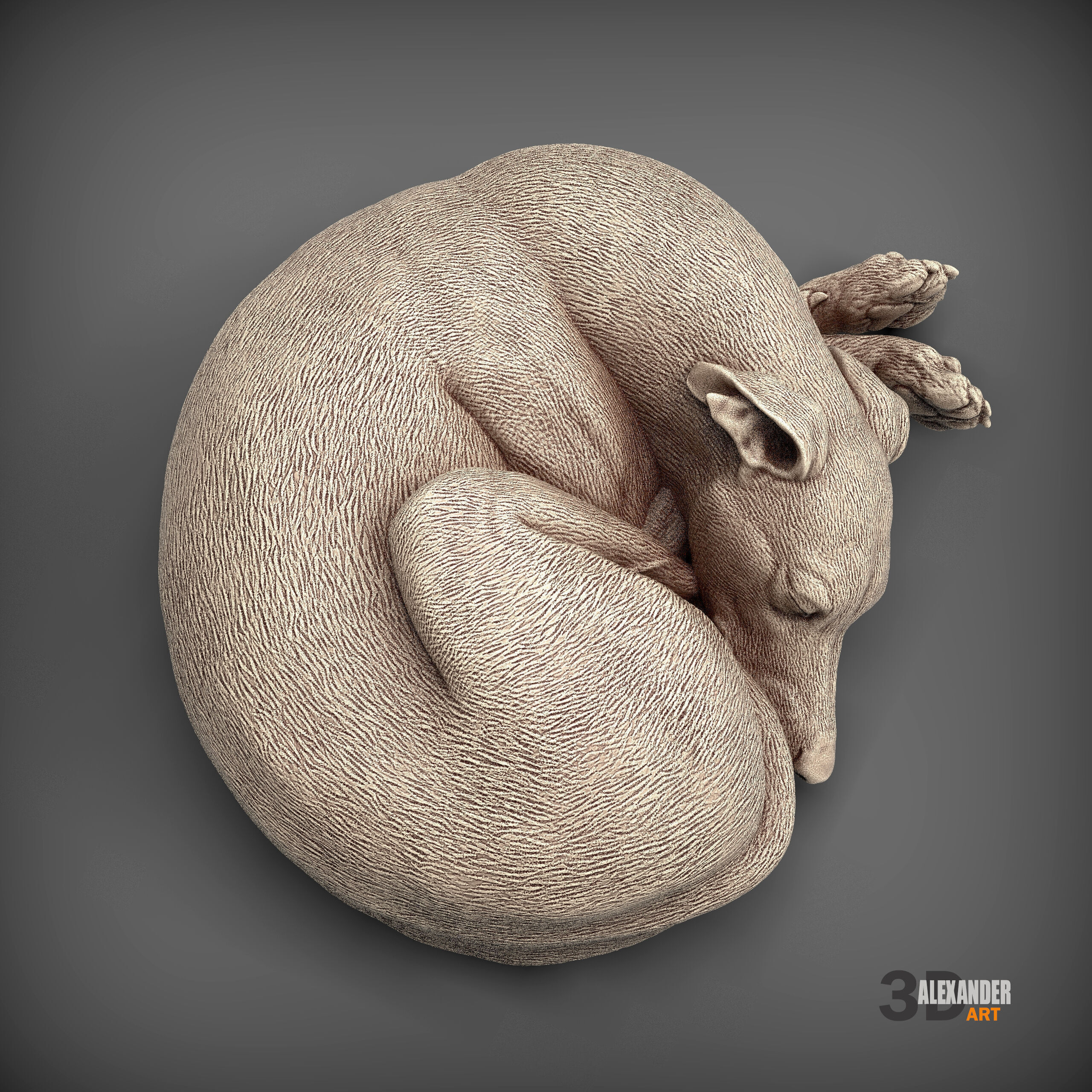 Whippet curled up asleep 3D print model_6