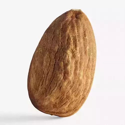 Scanned almond nut Low-poly 3D model