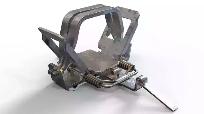 Coil Spring Traps 3D print model