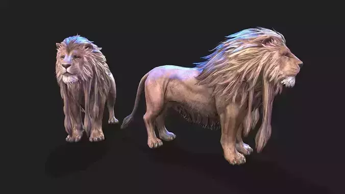 lion animations