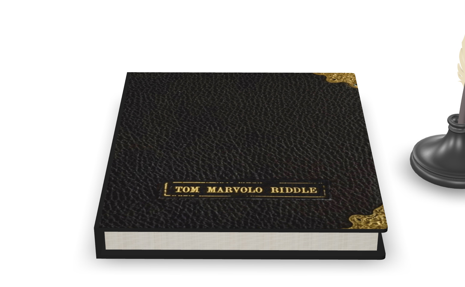 Tom Riddle diary animated 3D model_20