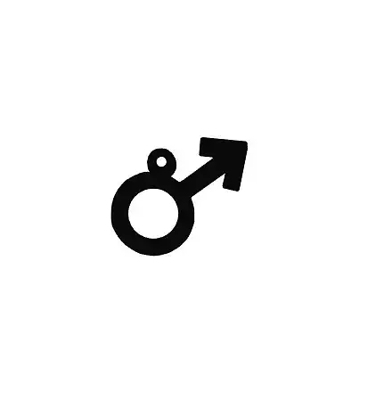 Gender Symbol Keychain 