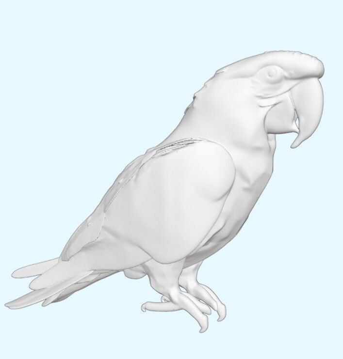 Scarlet Macaw Parrot 3D print model_2