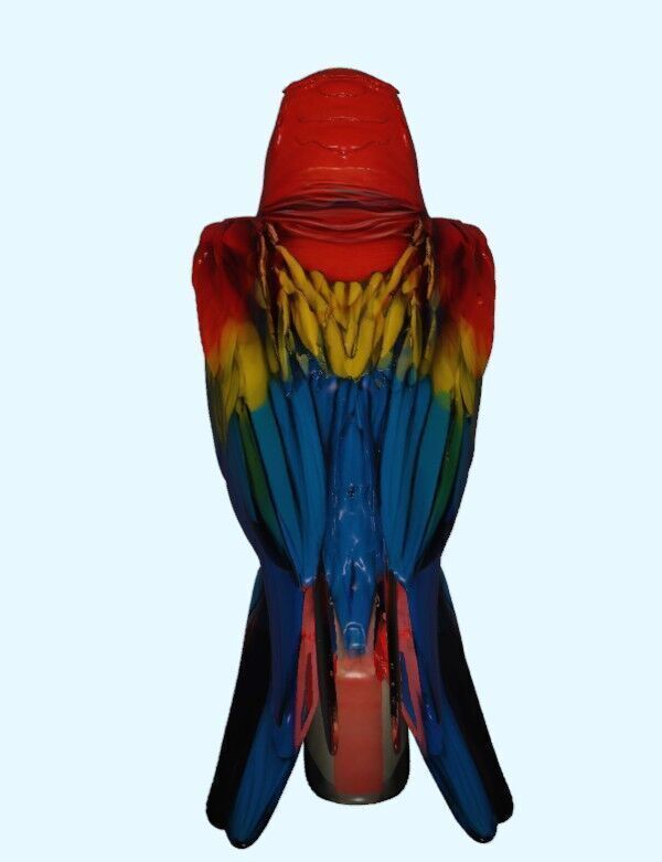 Scarlet Macaw Parrot 3D print model_9