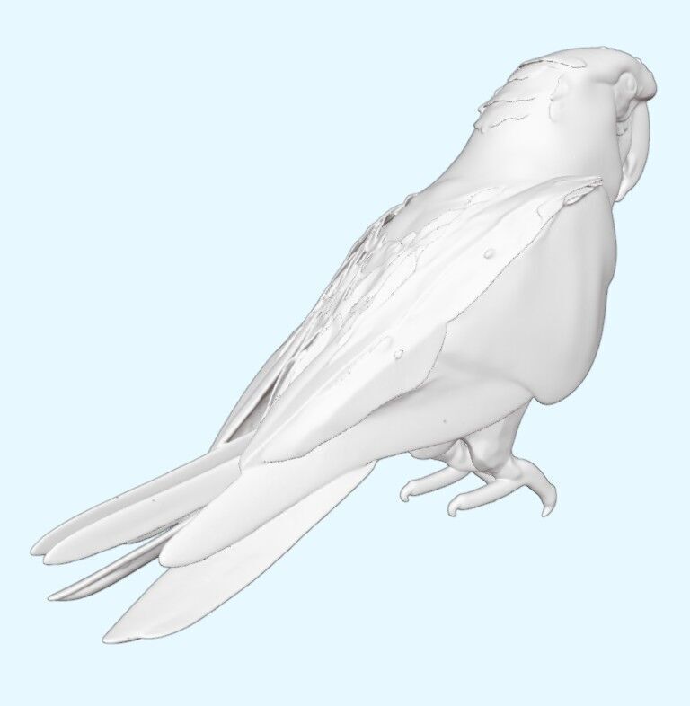 Scarlet Macaw Parrot 3D print model_12