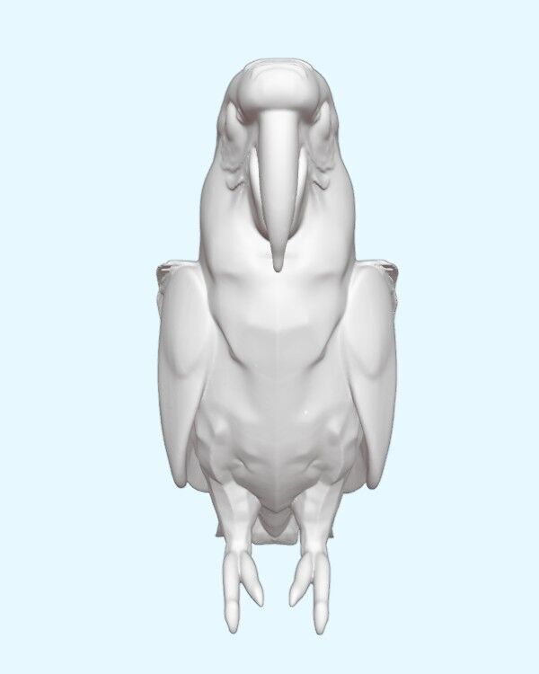 Scarlet Macaw Parrot 3D print model_4
