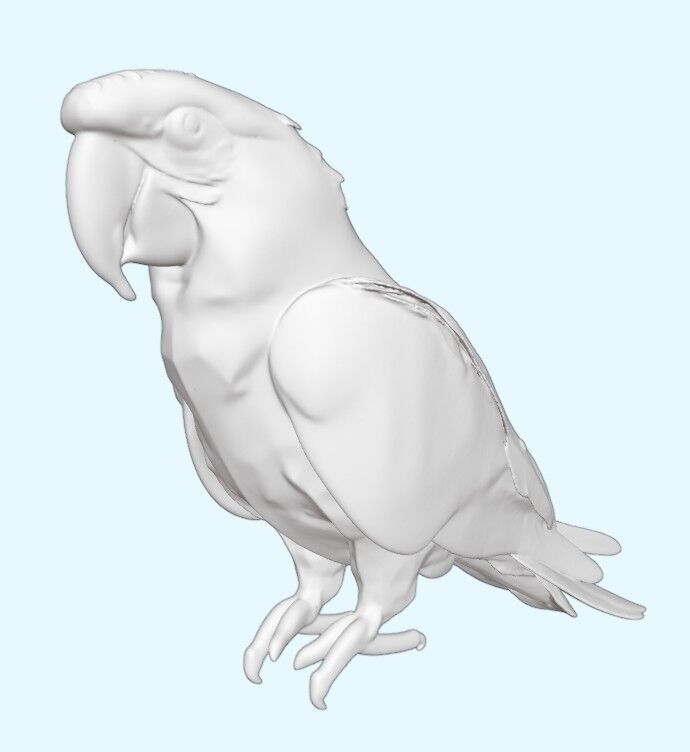 Scarlet Macaw Parrot 3D print model_6
