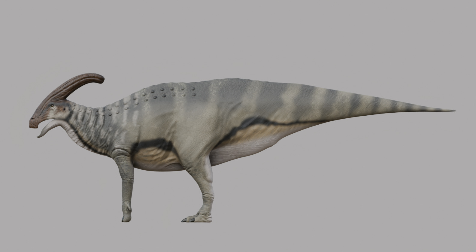 Parasaurolophus walkeri - Rig 3D model_2
