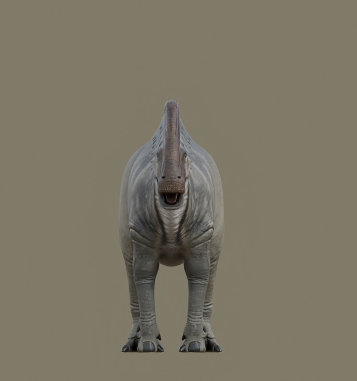 Parasaurolophus walkeri - Rig 3D model_3