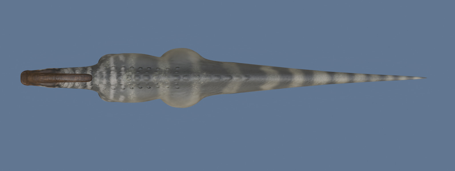 Parasaurolophus walkeri - Rig 3D model_4