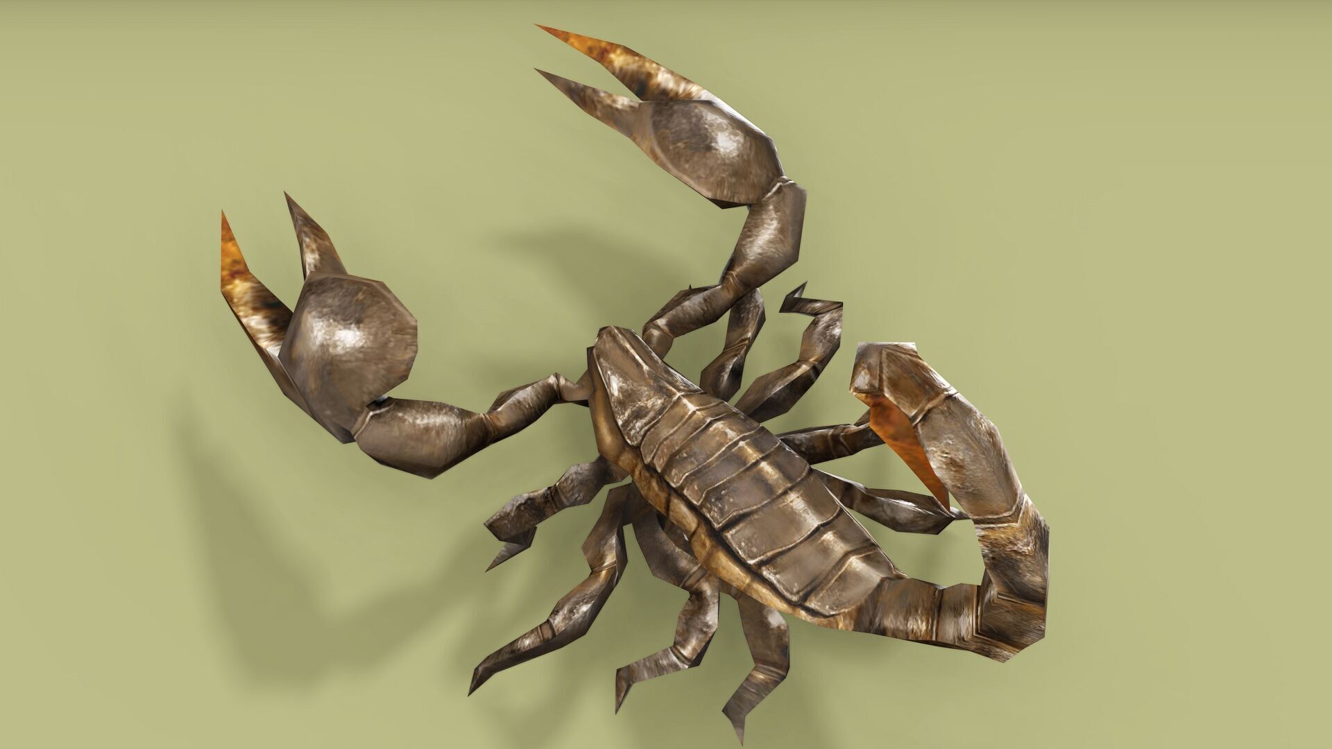 SCORPION RIGGED ANIMATED 4 Low-poly 3D model_4