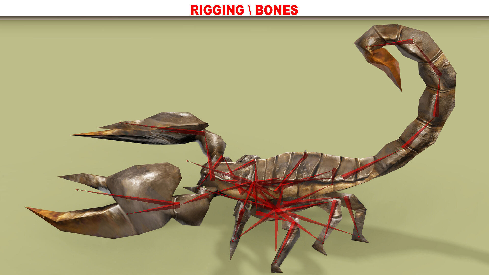 SCORPION RIGGED ANIMATED 4 Low-poly 3D model_8